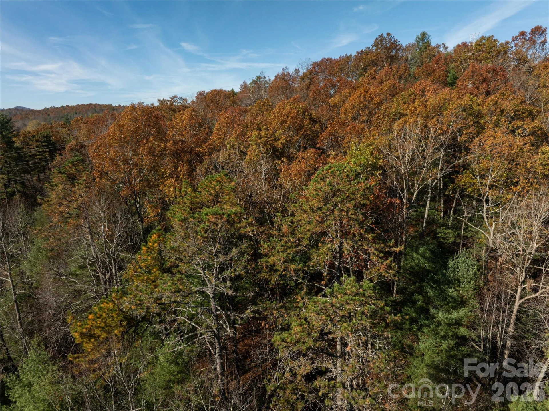 99999 Big Raven Lane - Photo 15