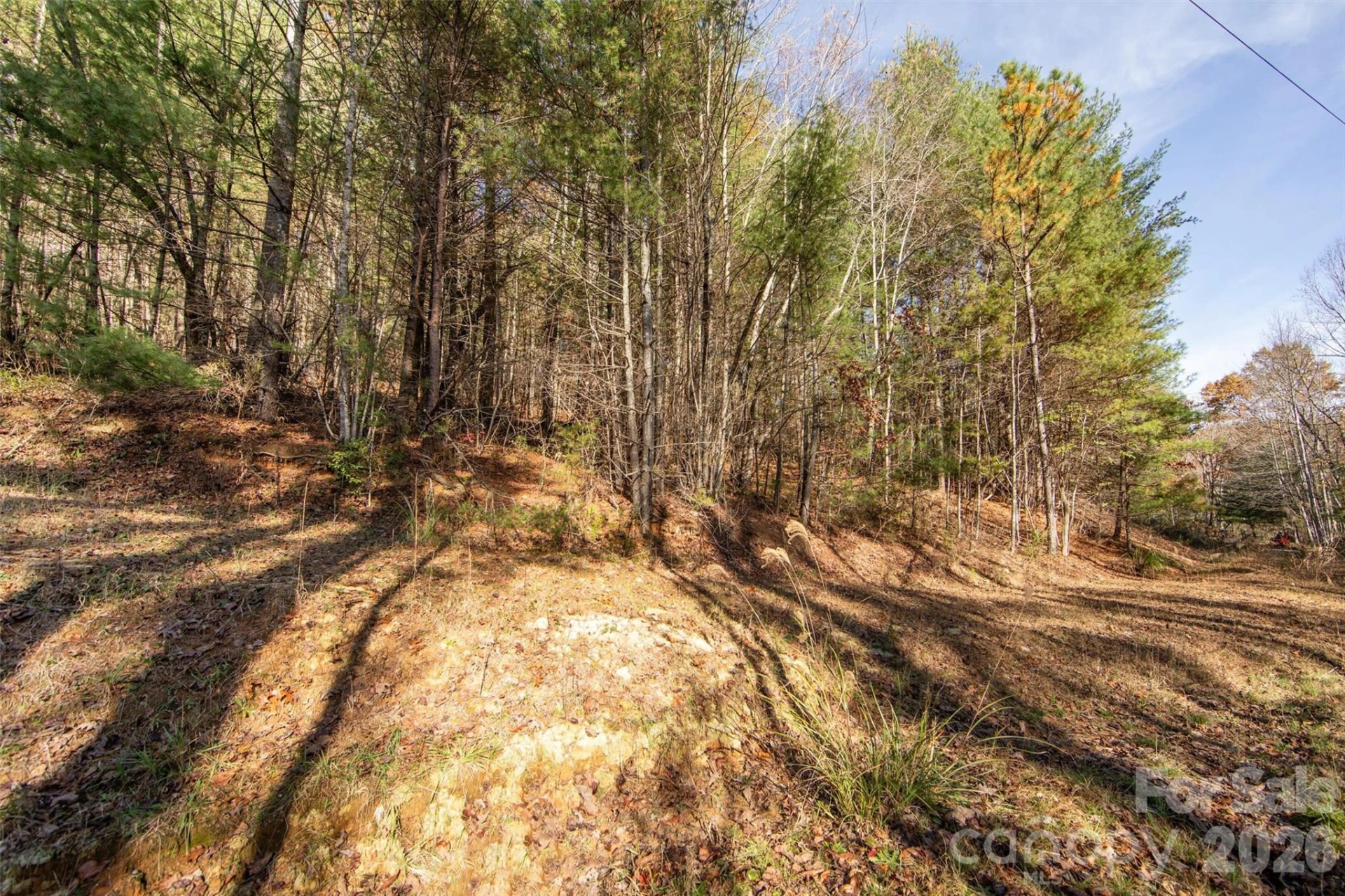 99999 Big Raven Lane - Photo 16