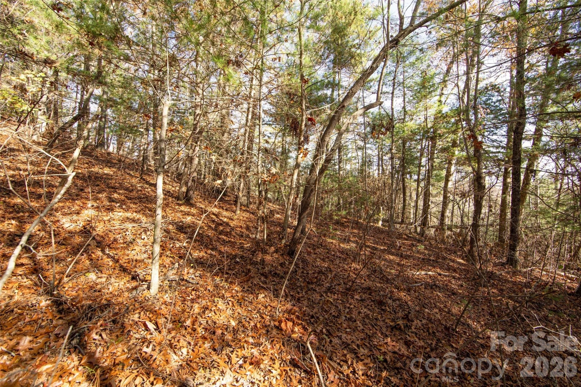99999 Big Raven Lane - Photo 18