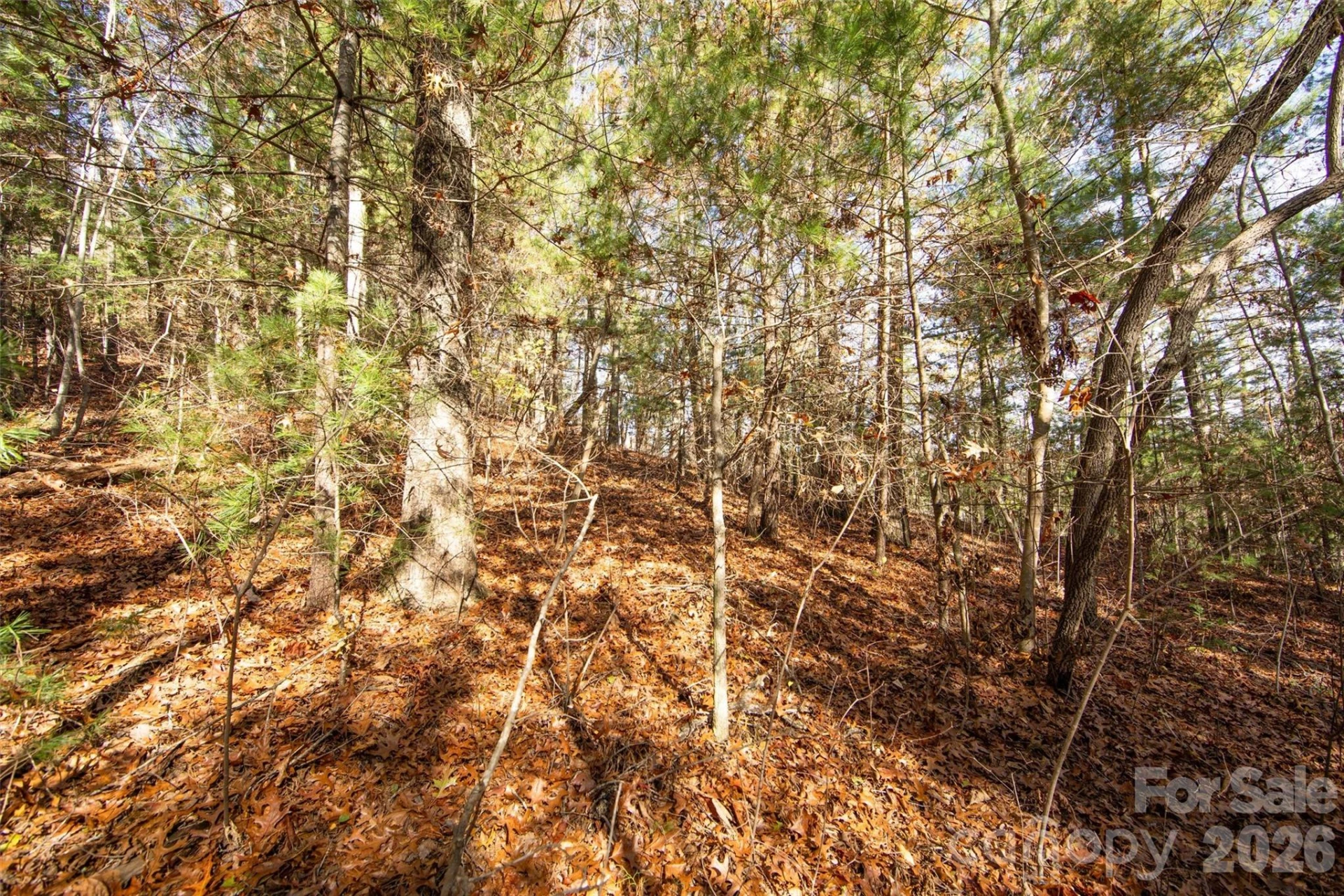 99999 Big Raven Lane - Photo 19