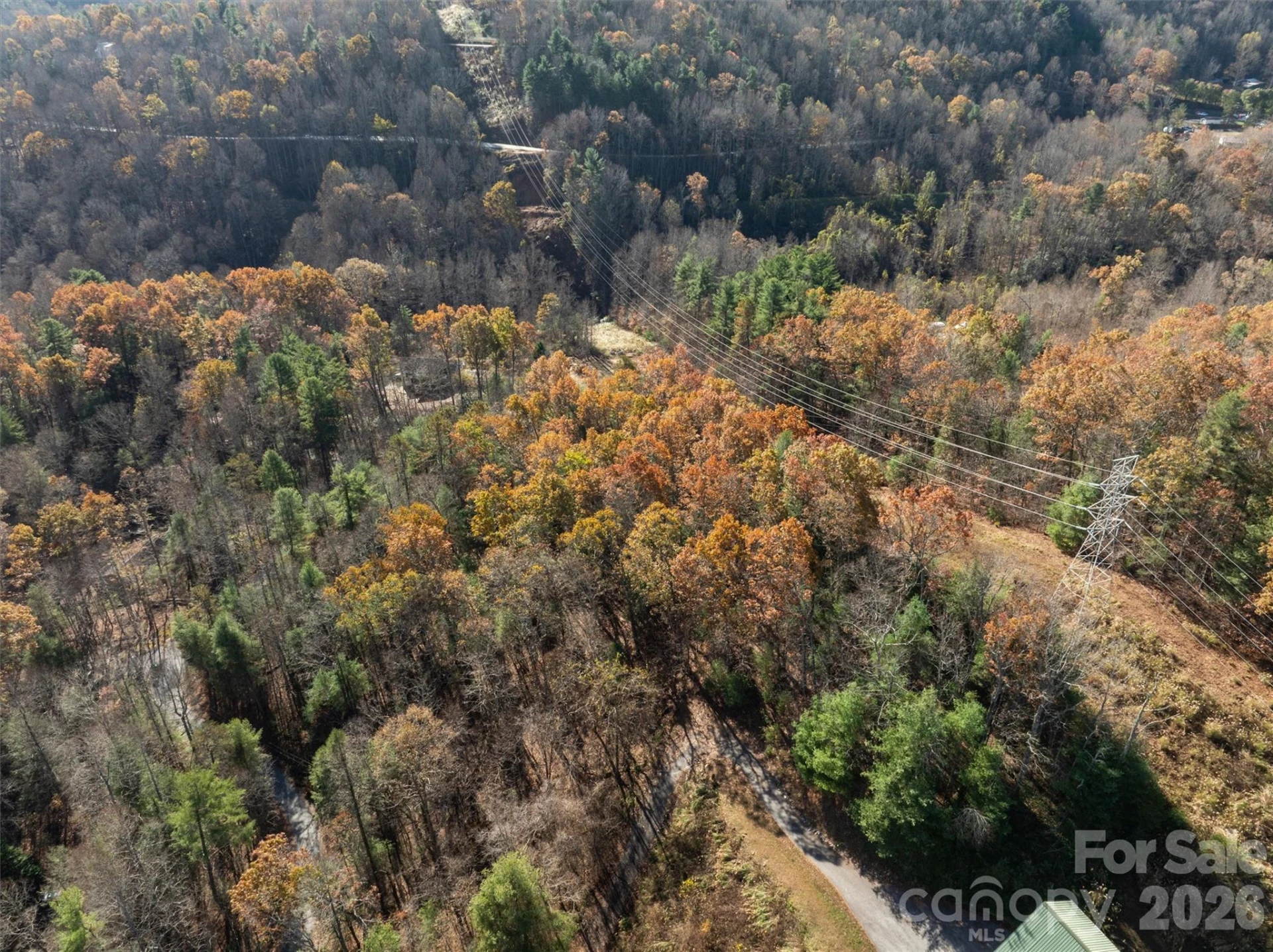 99999 Big Raven Lane - Photo 9