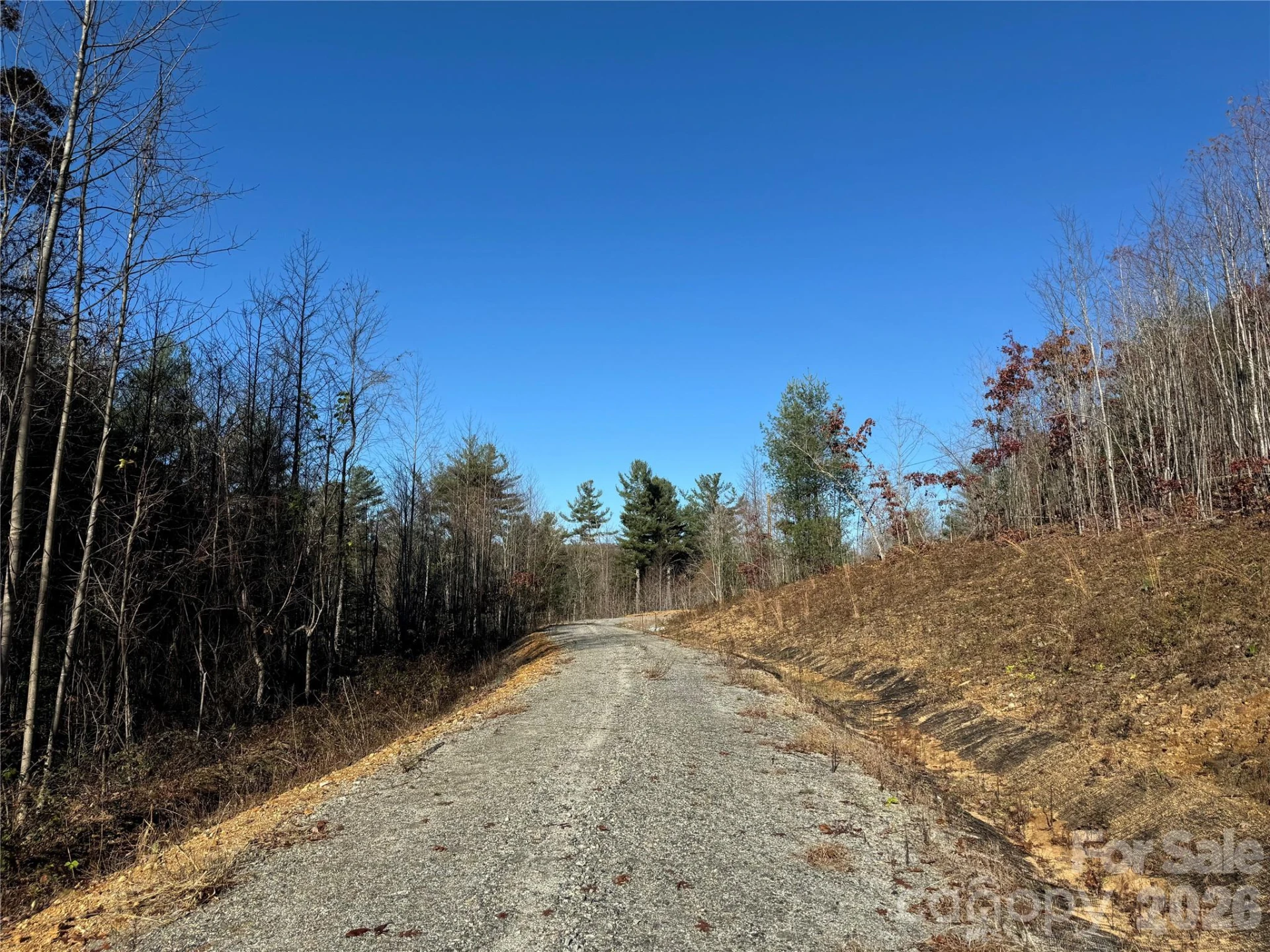 3200 Greenville Highway - Photo 19