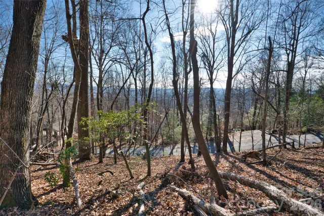 9999 Walnut Drive, Mills River, NC, 28759