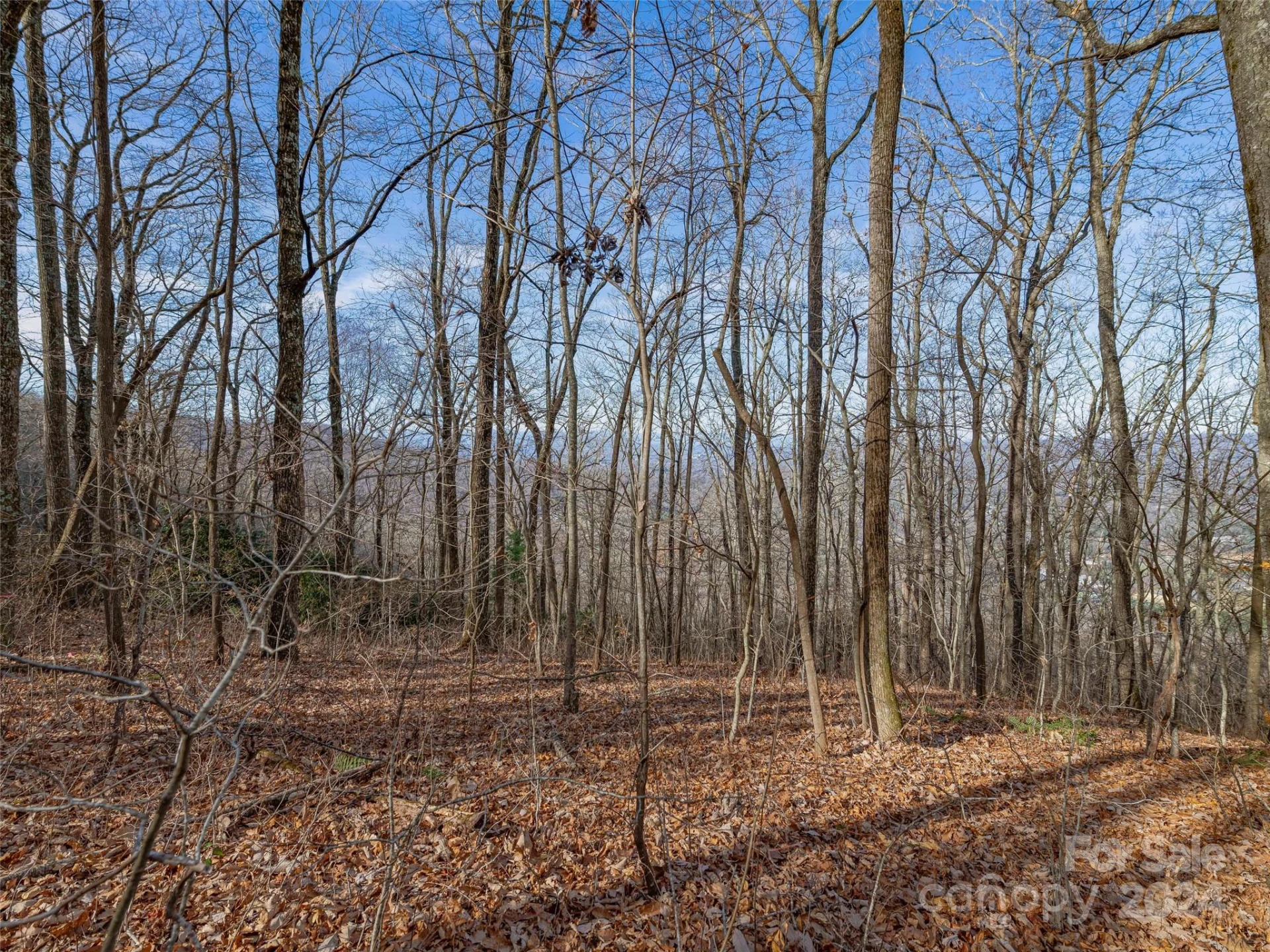99999 Stonecrest Drive #B - Photo 10