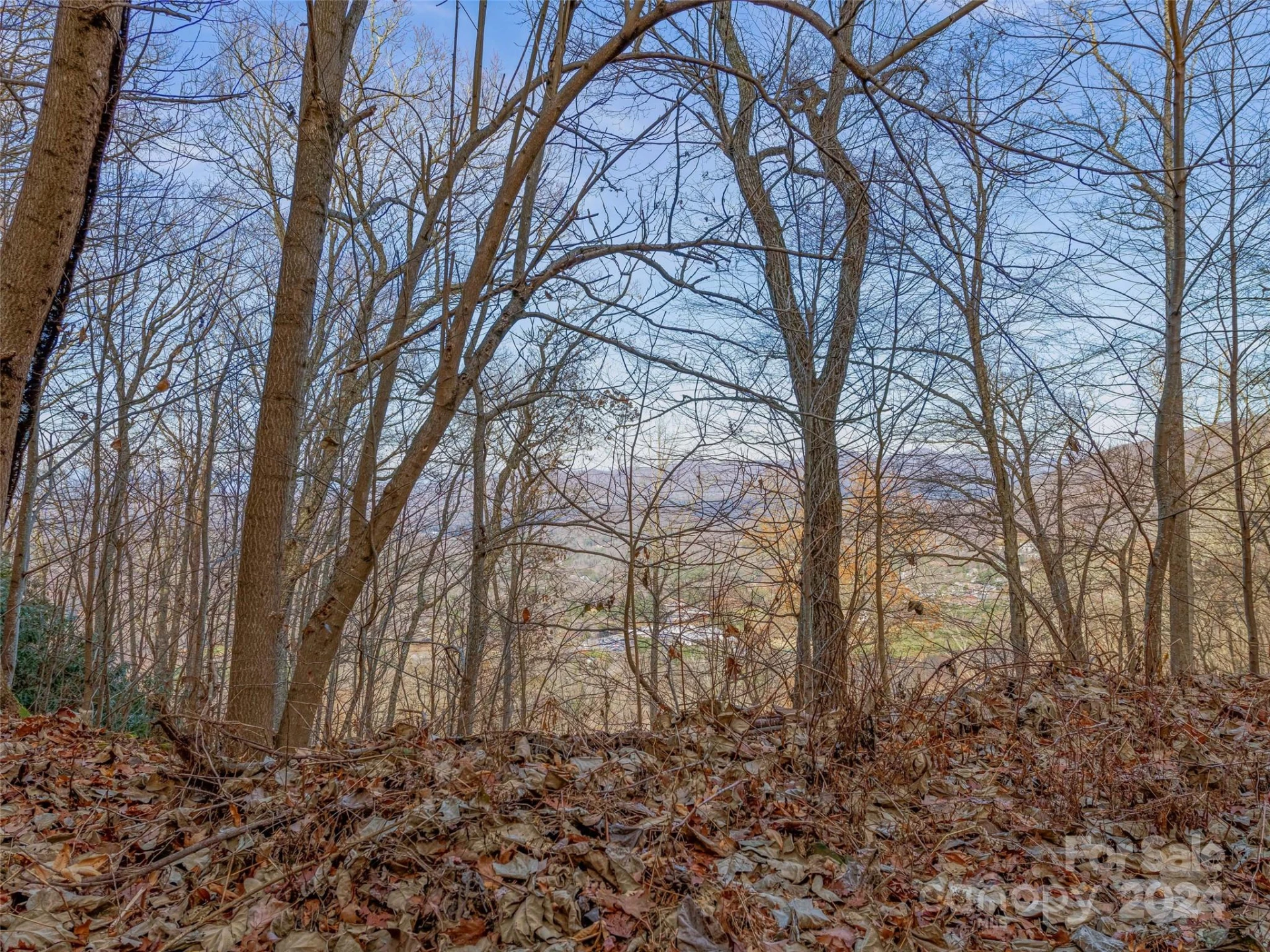 99999 Stonecrest Drive #A, B - Photo 12