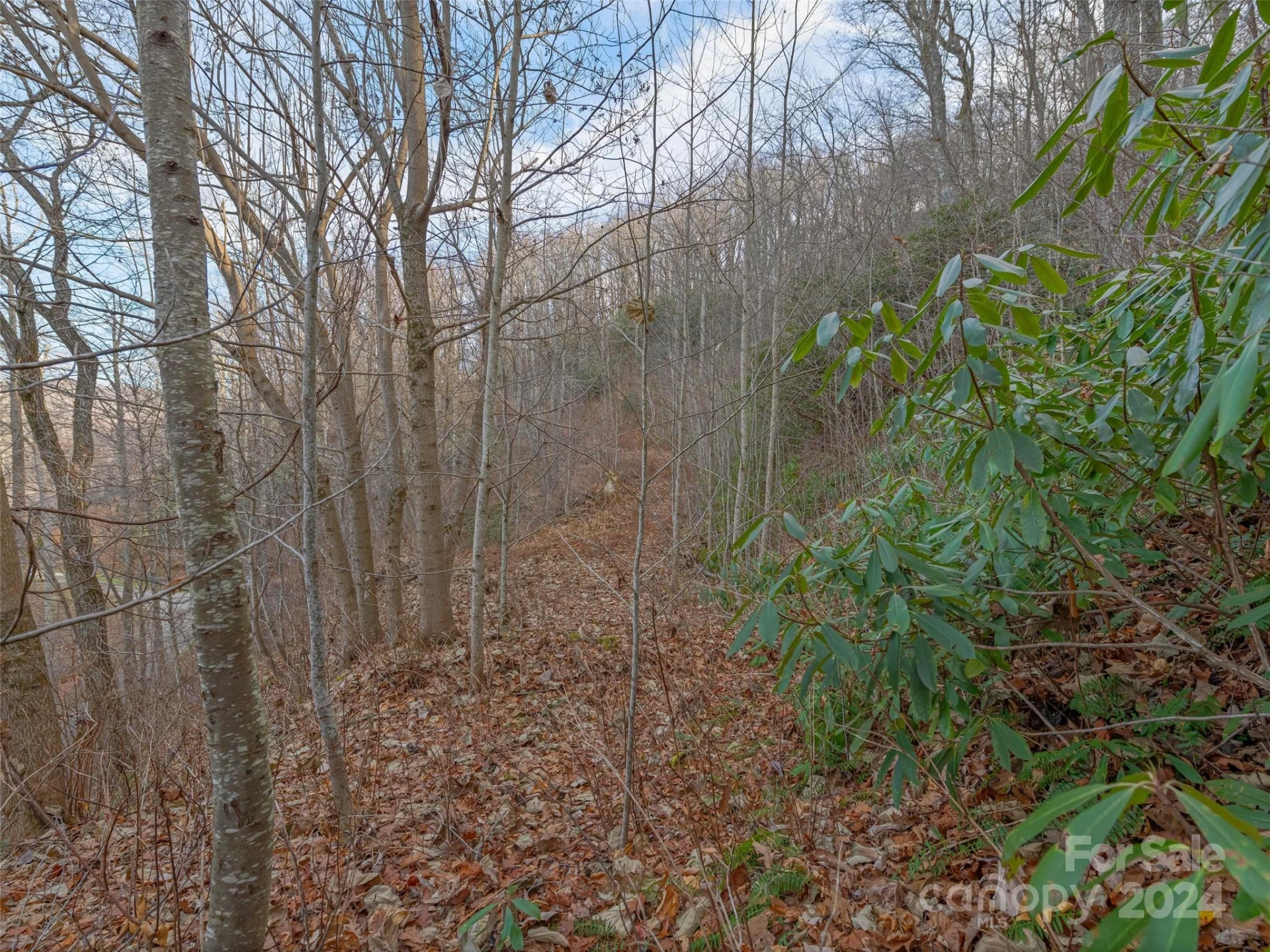 99999 Stonecrest Drive #A, B - Photo 6