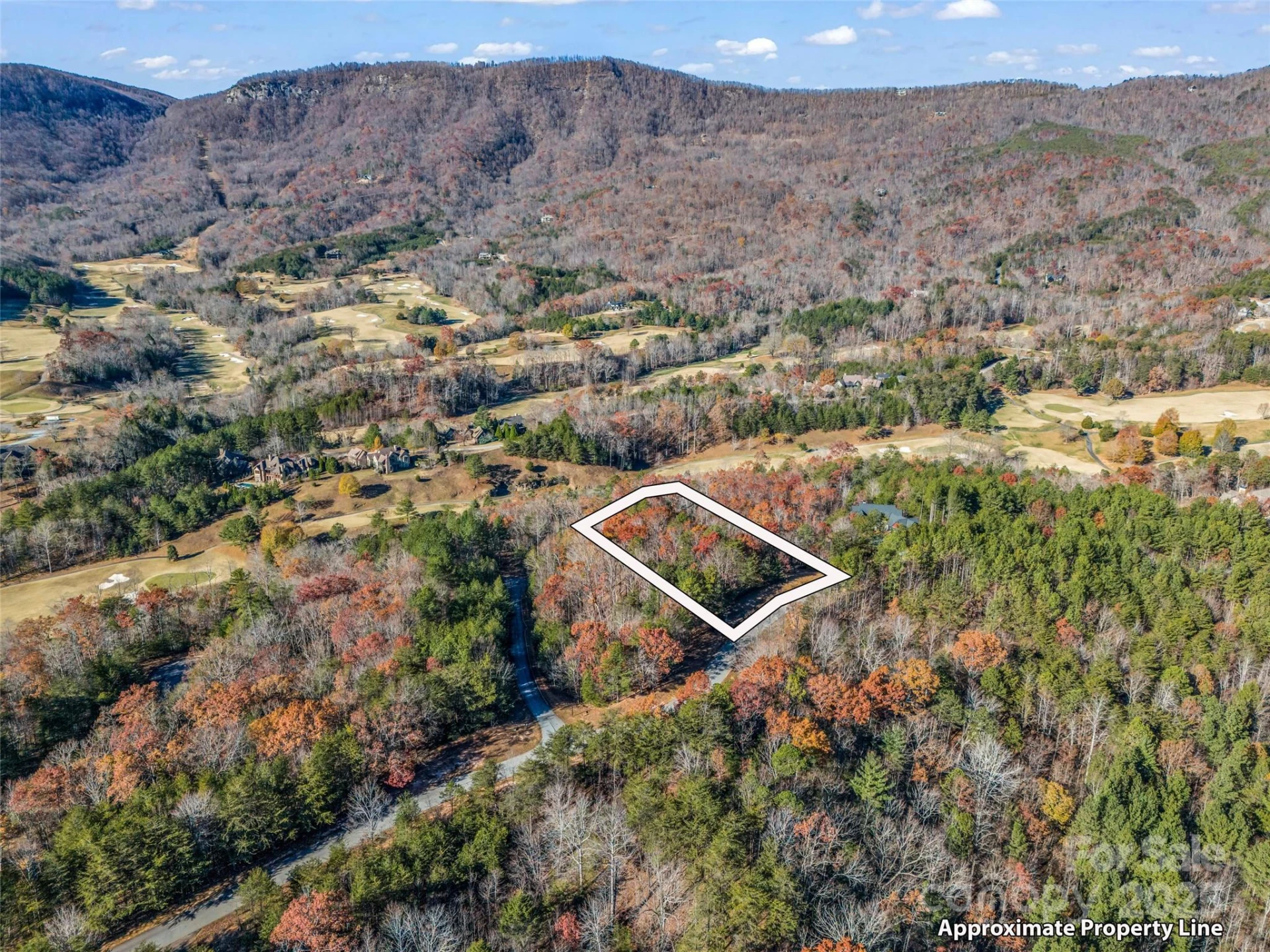 Lot 30 Deep Gap Farm Road E - Photo 11