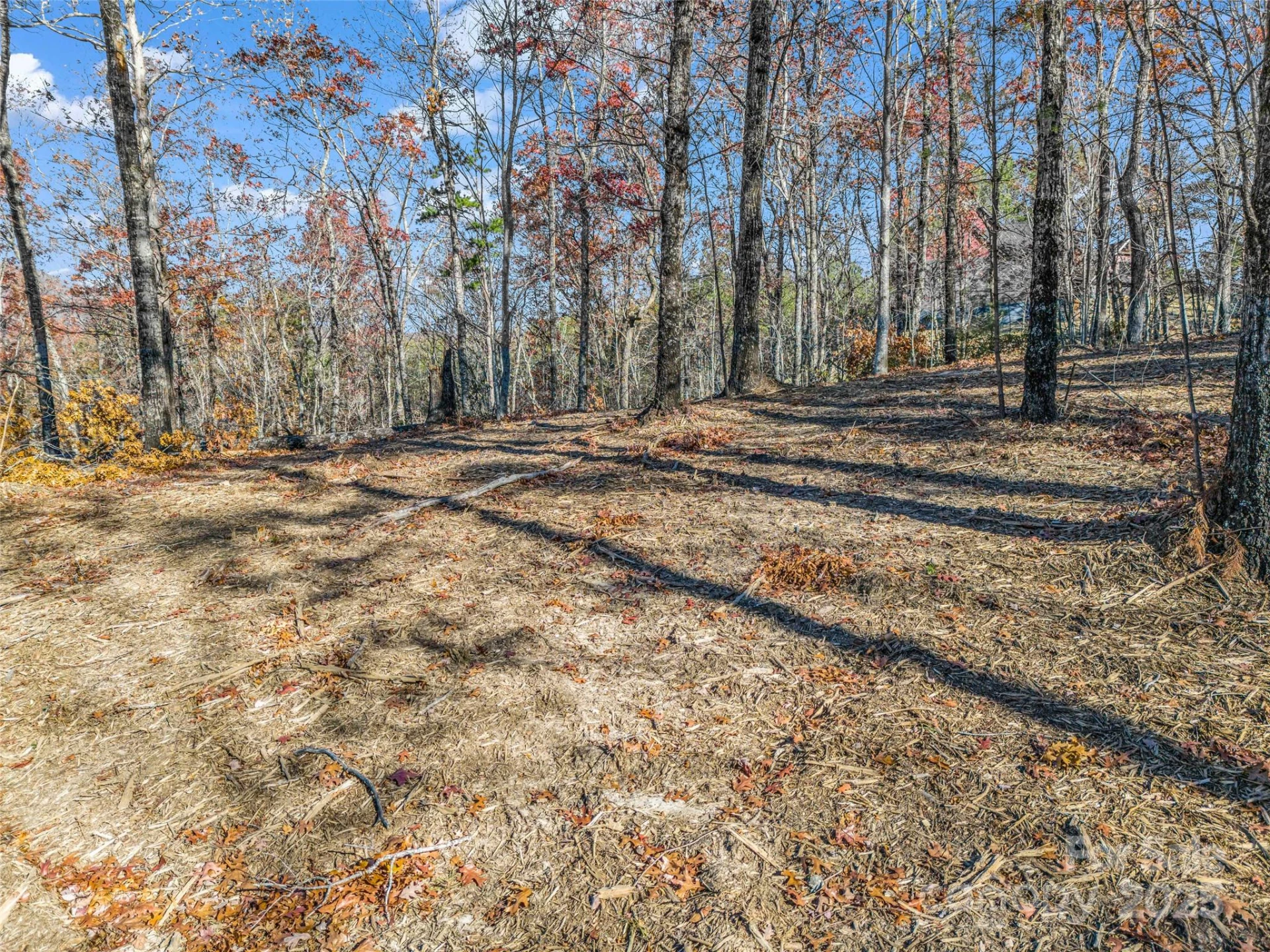 Lot 30 Deep Gap Farm Road E - Photo 12