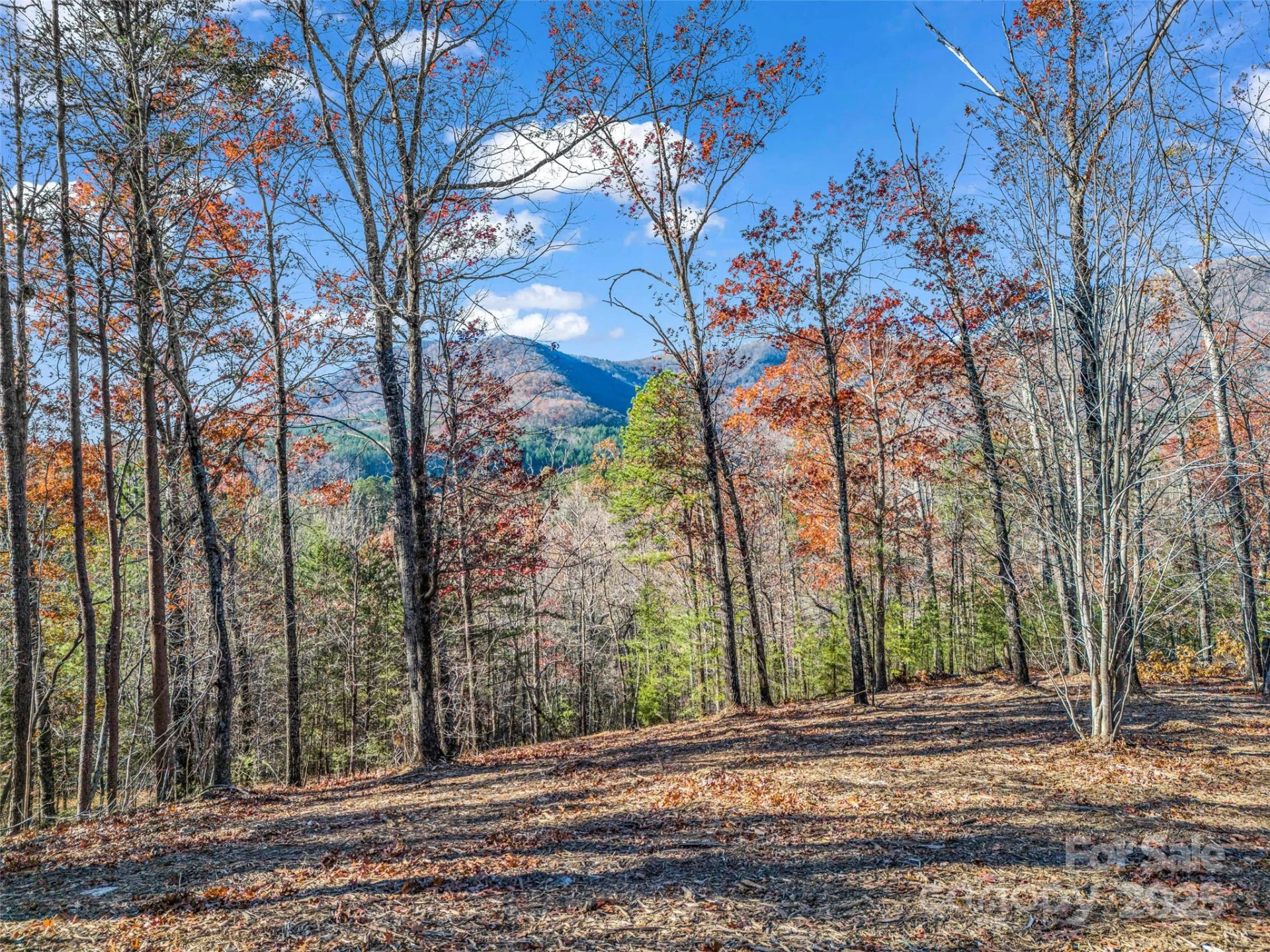 Lot 30 Deep Gap Farm Road E - Photo 15