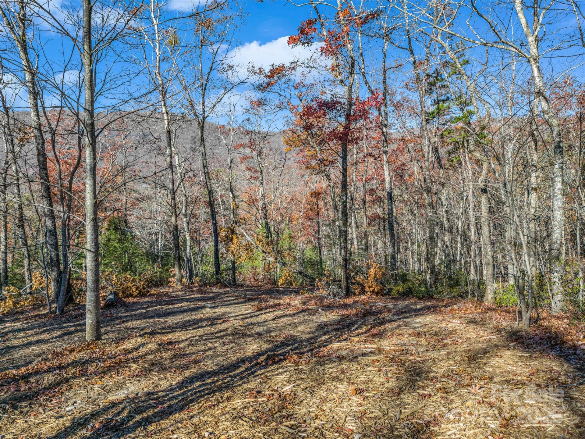 Lot 30 Deep Gap Farm Road E - Photo 16