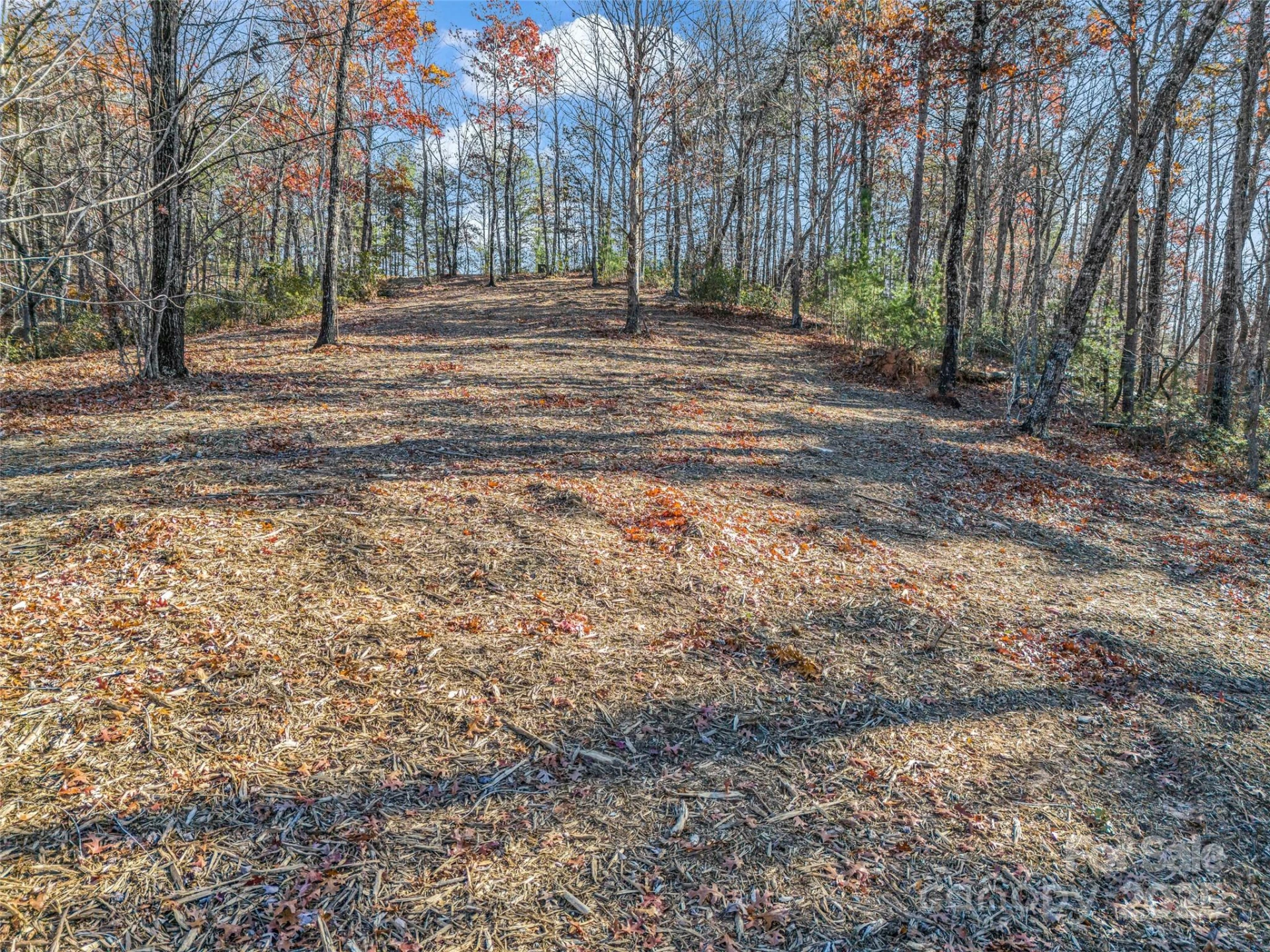 Lot 30 Deep Gap Farm Road E - Photo 17