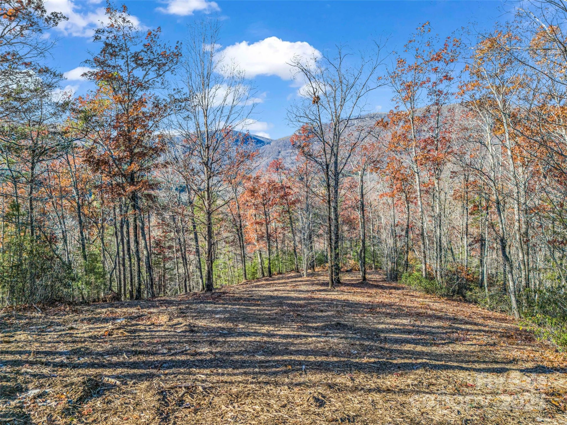 Lot 30 Deep Gap Farm Road E - Photo 18