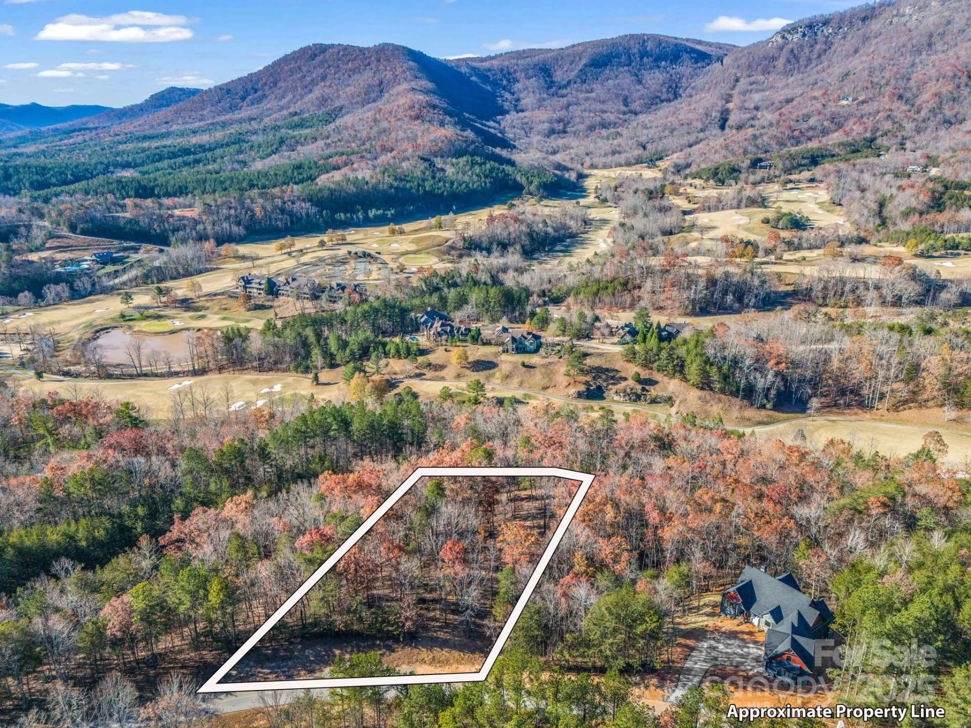 Lot 30 Deep Gap Farm Road E - Photo 4