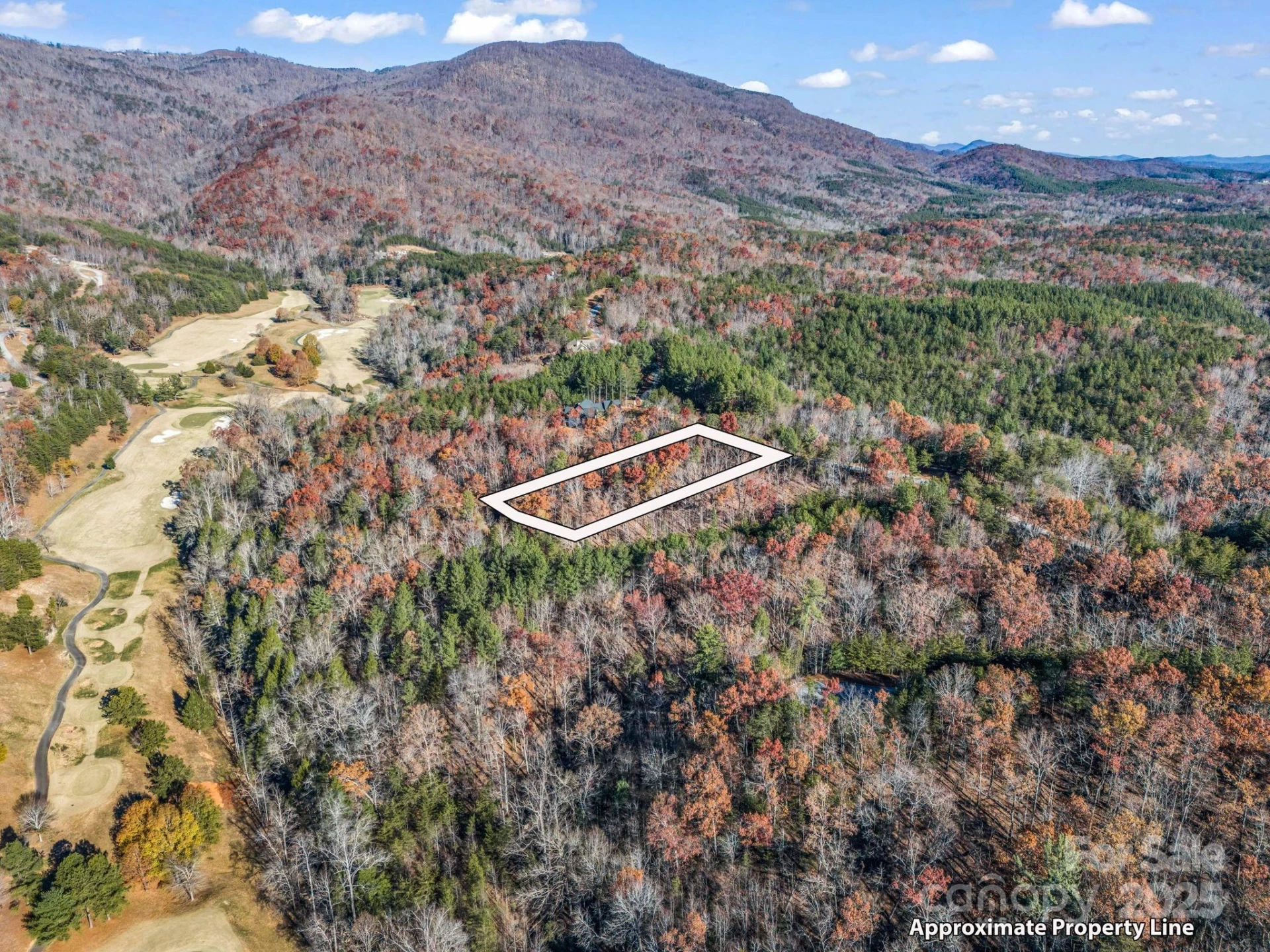Lot 30 Deep Gap Farm Road E - Photo 5