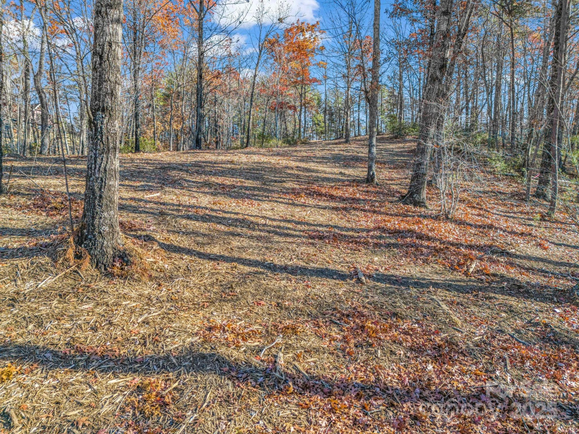 Lot 30 Deep Gap Farm Road E - Photo 8