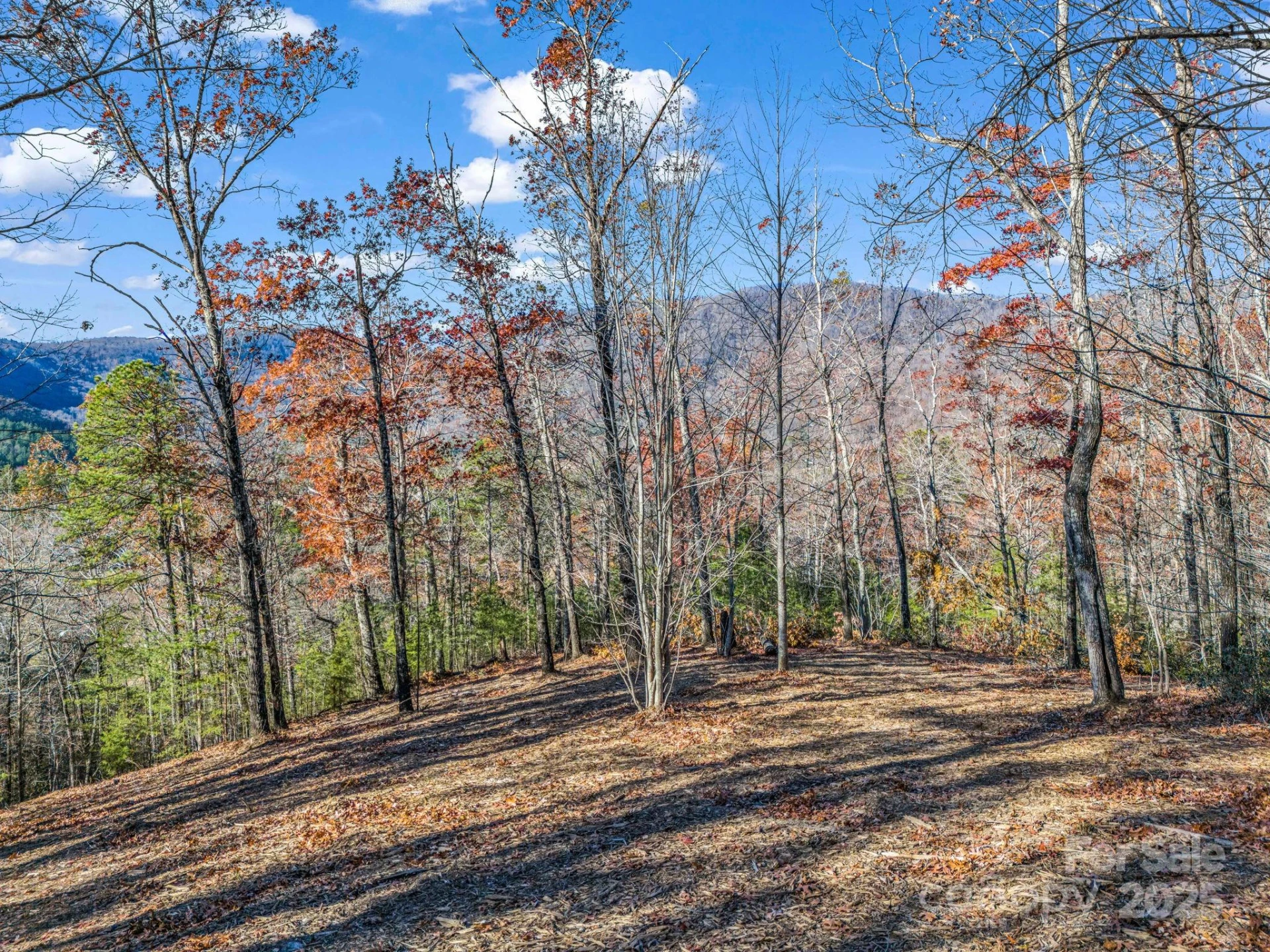 Lot 30 Deep Gap Farm Road E - Photo 9
