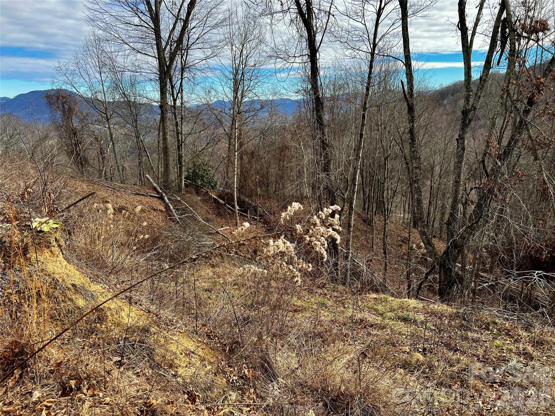 4 and 4b Salisbury Cove - Photo 10