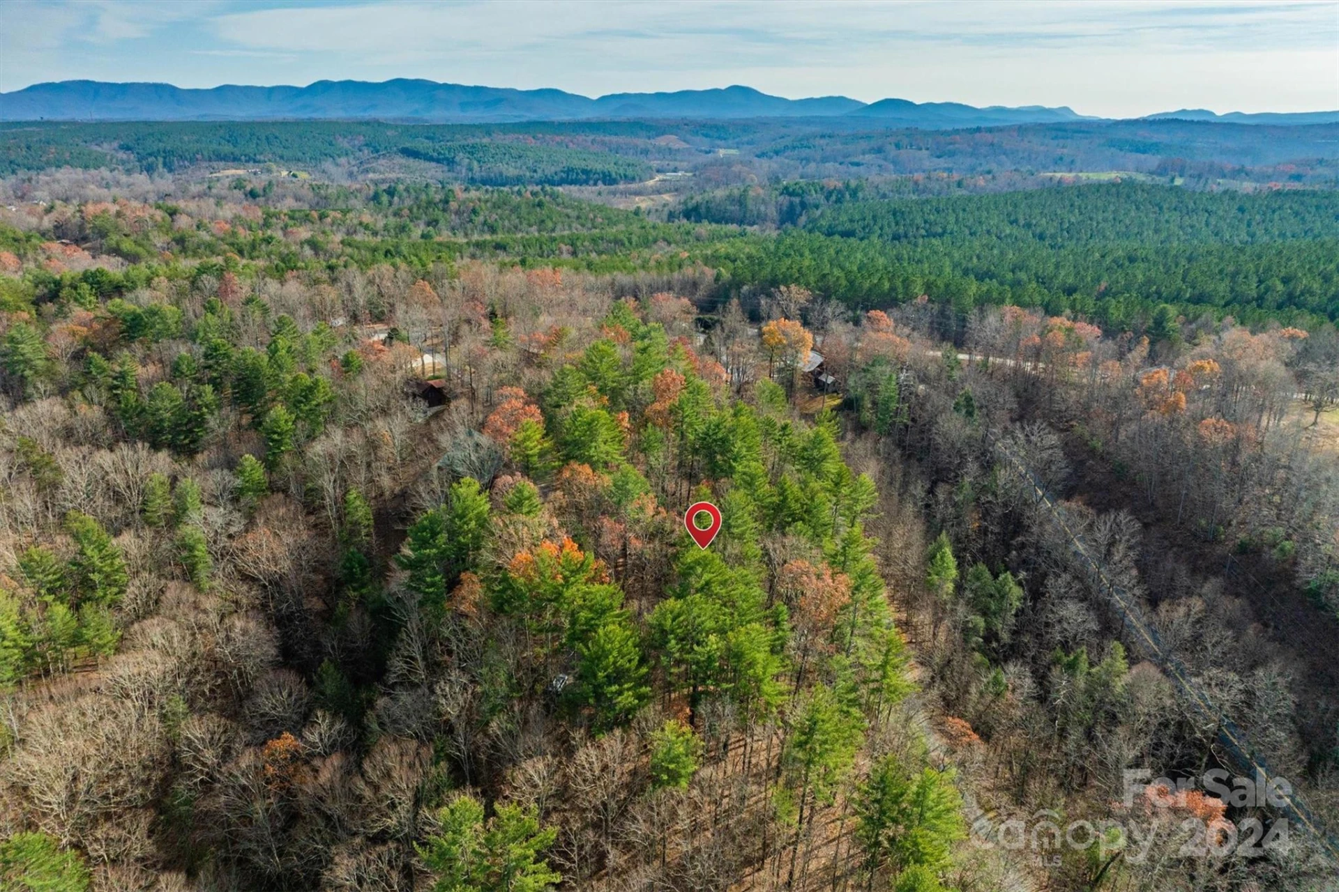 133 James Bob Stafford Drive - Photo 8