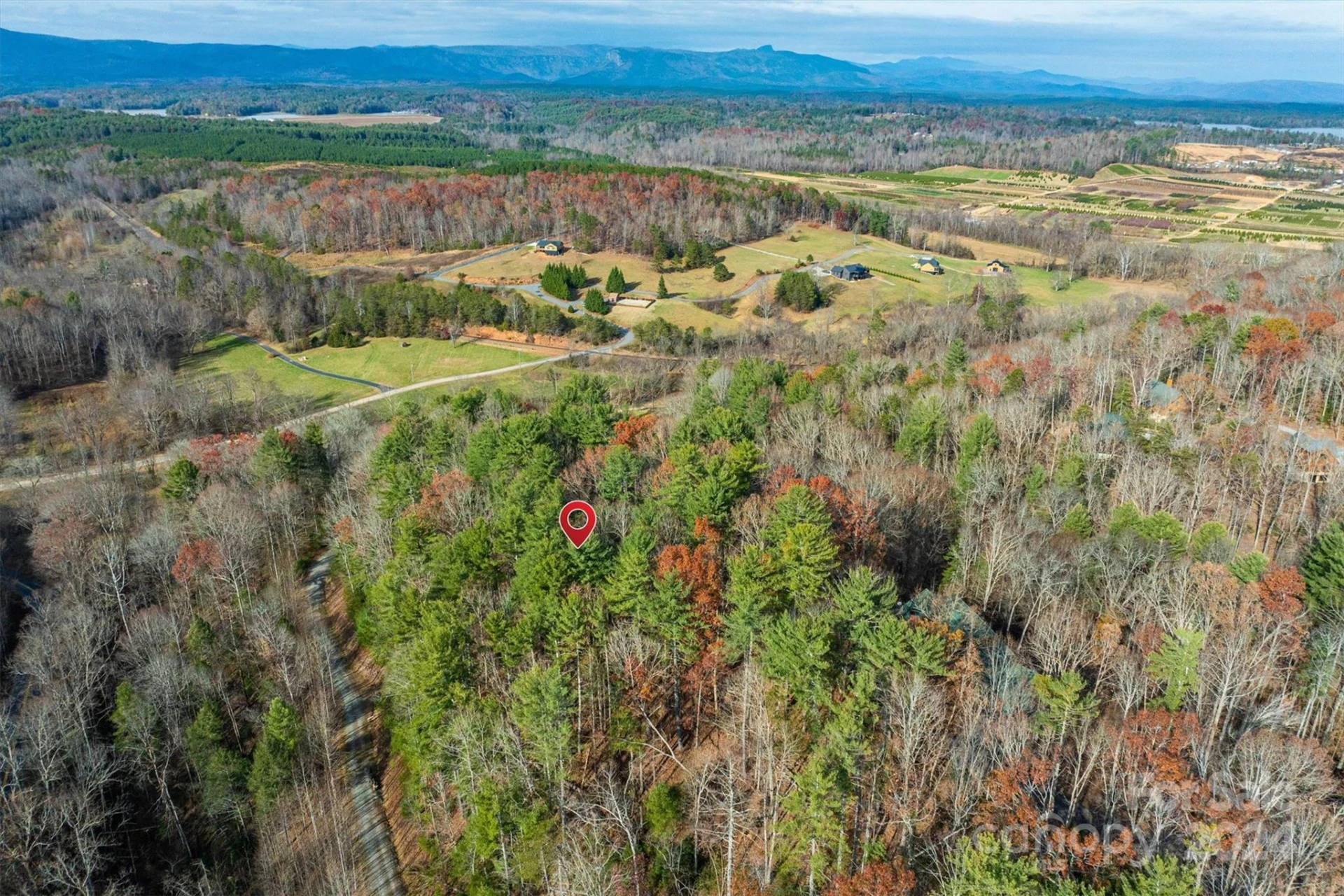 133 James Bob Stafford Drive - Photo 10