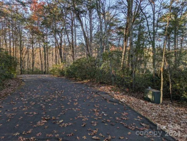 Lot 59 & 60 Willow Lane