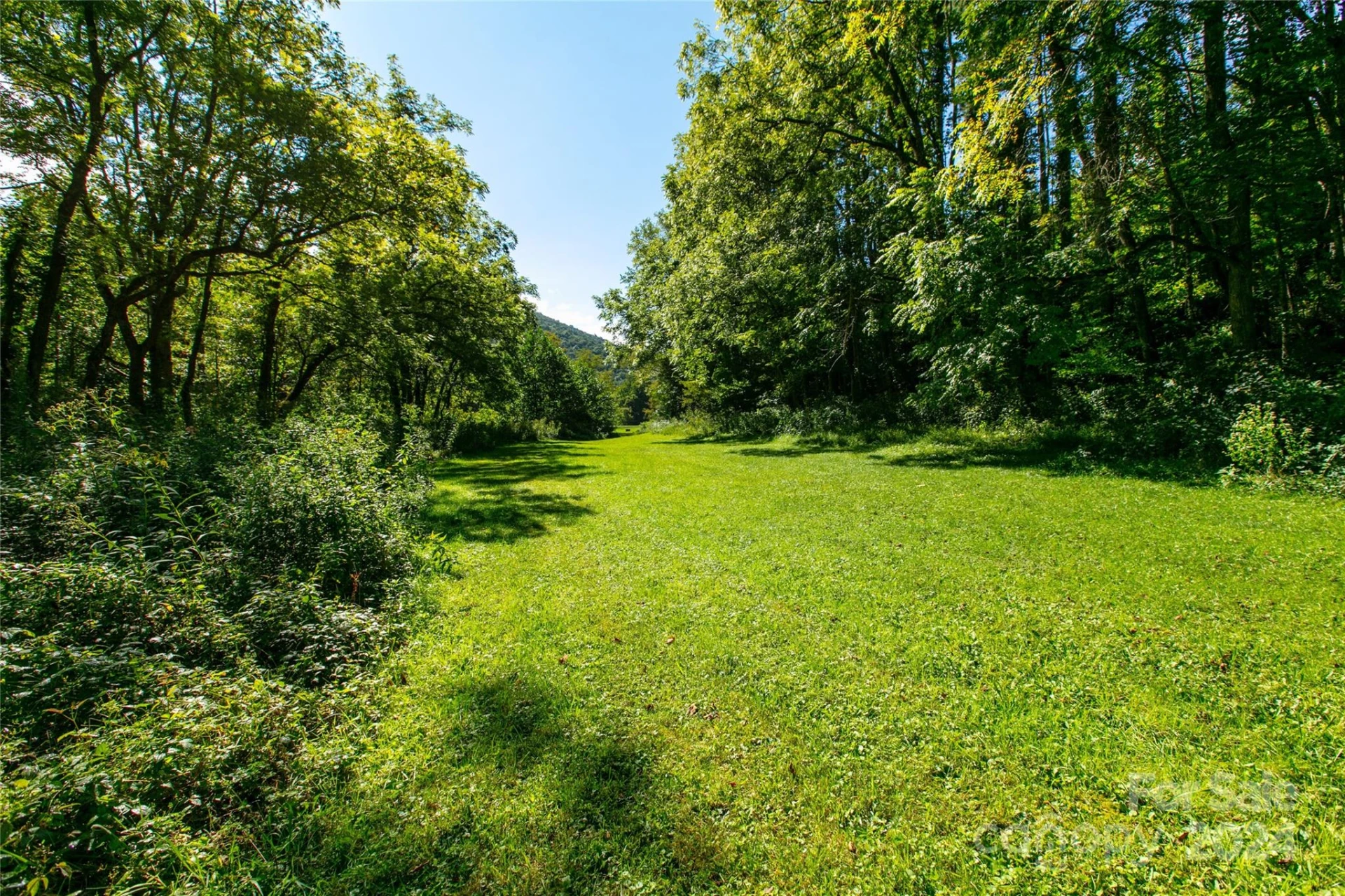 00000 Scout Trail #14 - Photo 3