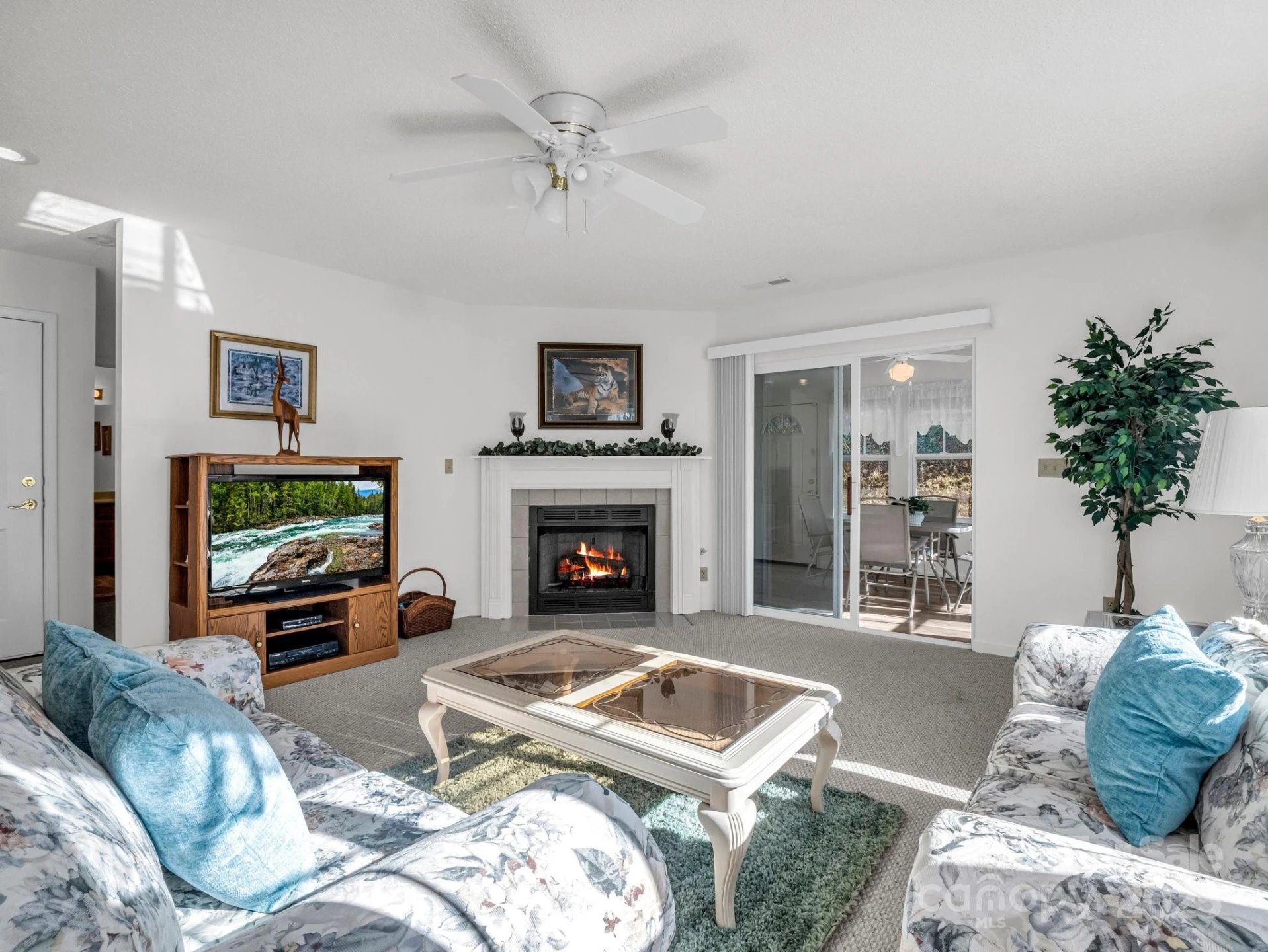 24 Gray Wolf Lane - Photo 12