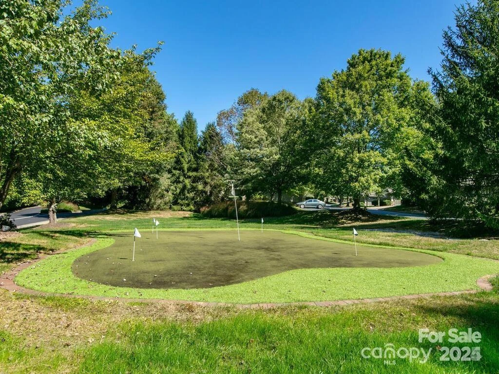 24 Gray Wolf Lane - Photo 37