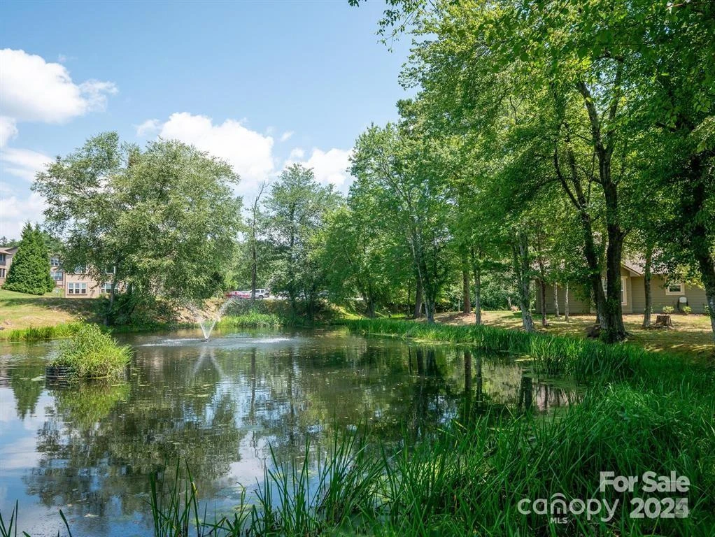 24 Gray Wolf Lane - Photo 44
