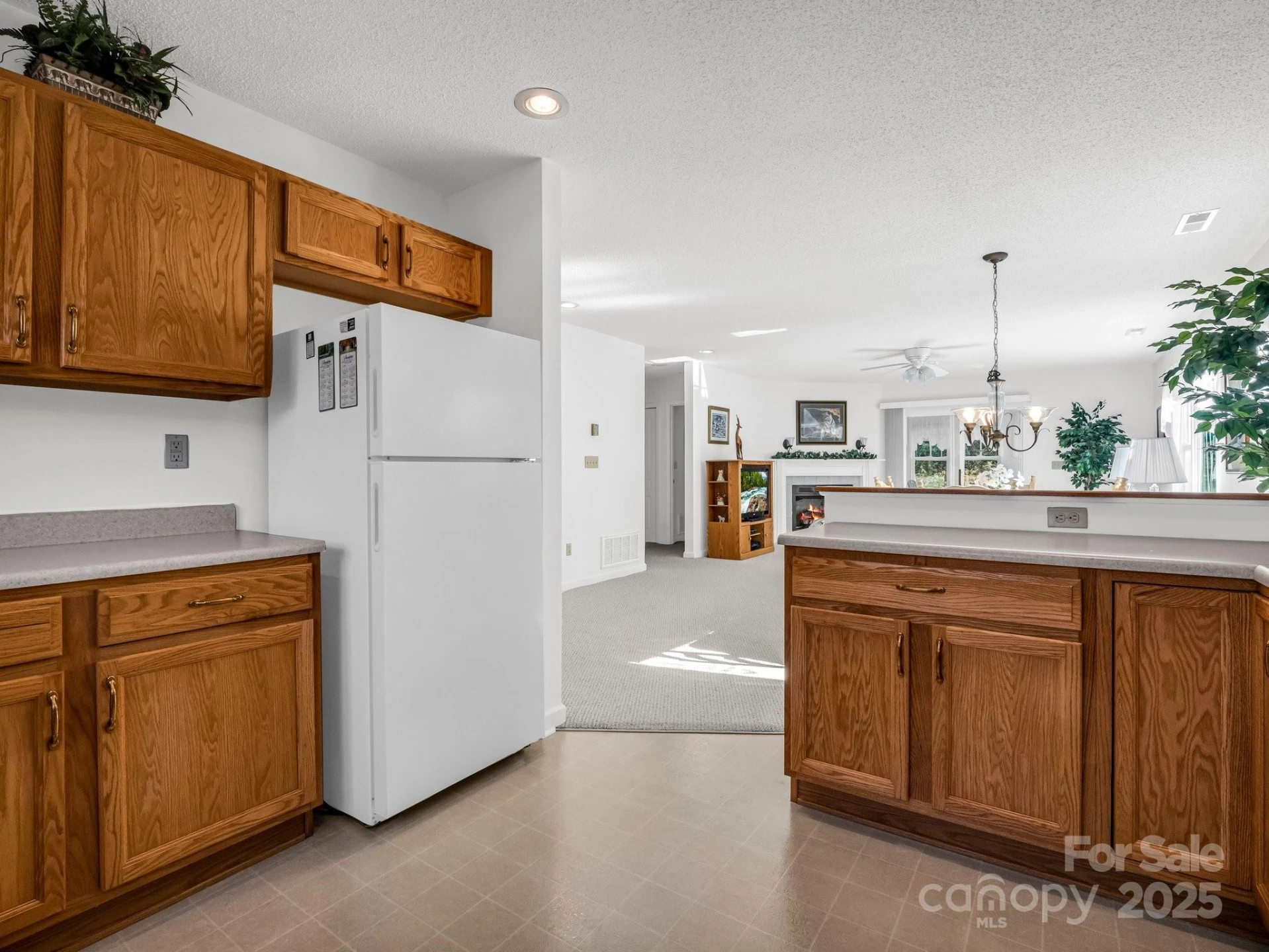 24 Gray Wolf Lane - Photo 9