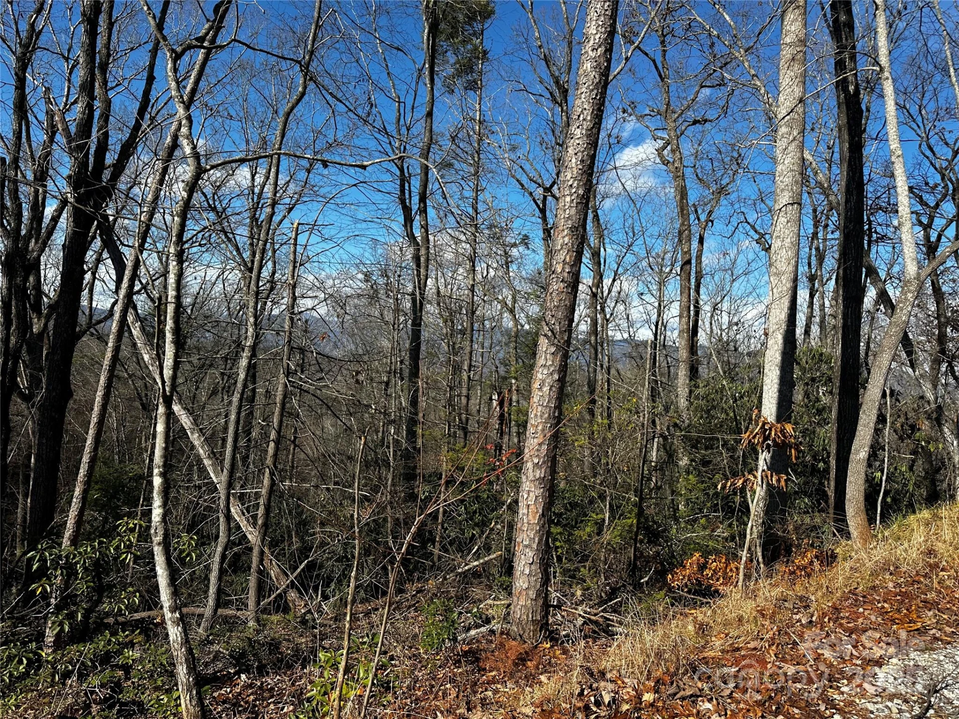 182 Warren Ridge Drive #7 - Photo 11