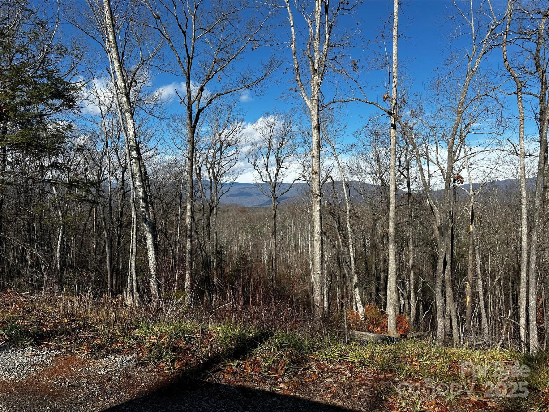 182 Warren Ridge Drive #7 - Photo 5