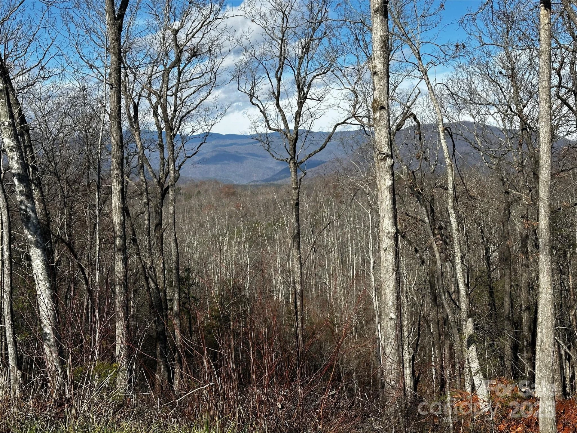 182 Warren Ridge Drive #7 - Photo 6