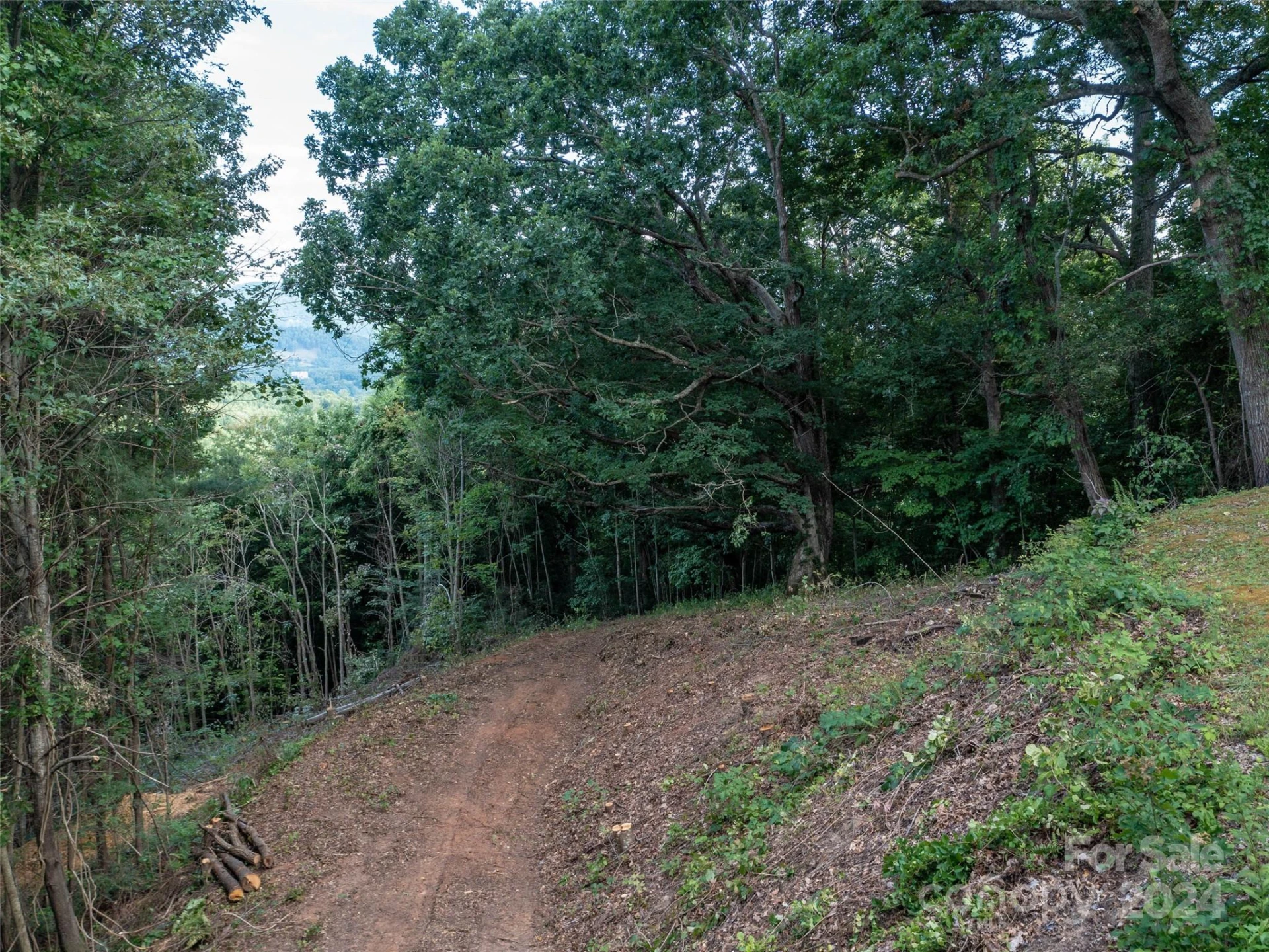 TBD Rimesdale Way - Photo 22