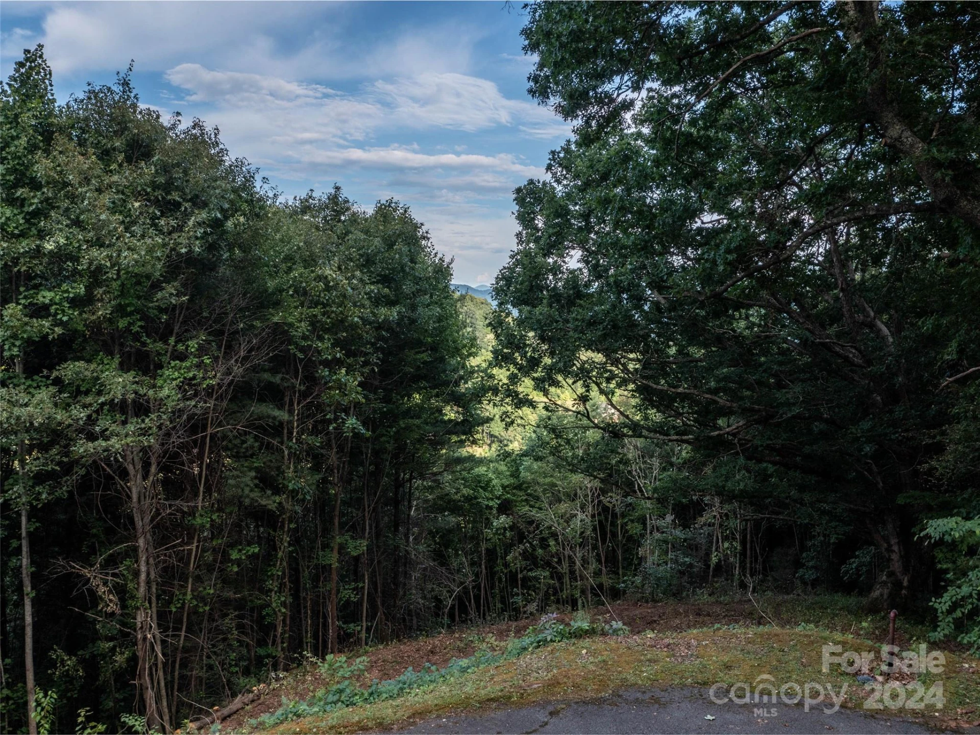 TBD Rimesdale Way - Photo 24