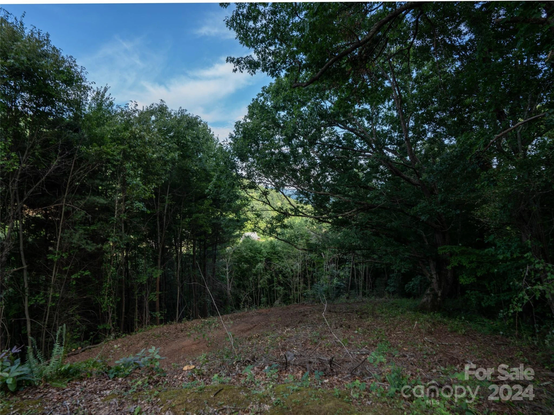 TBD Rimesdale Way - Photo 8