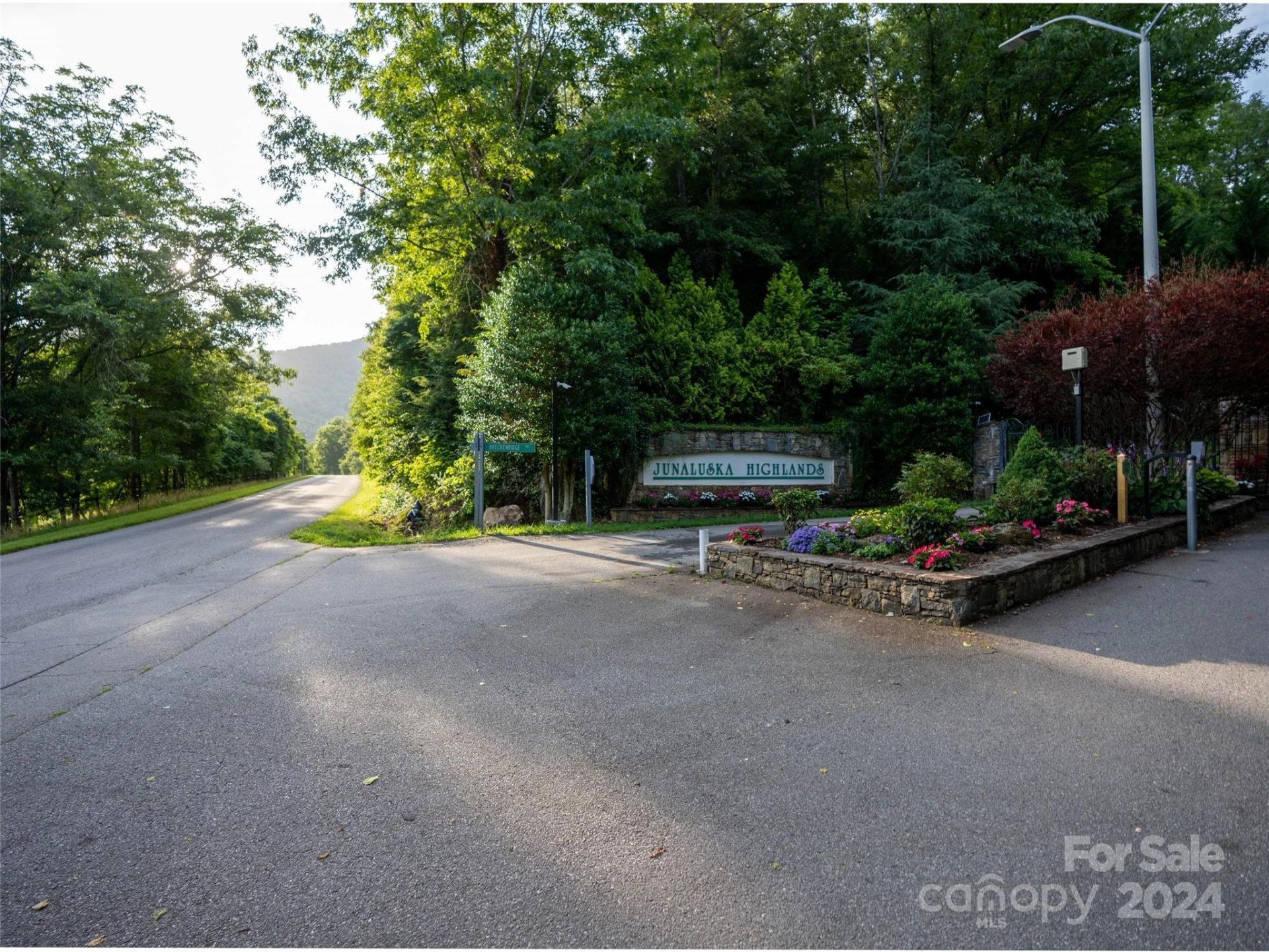 TBD Rimesdale Way - Photo 9