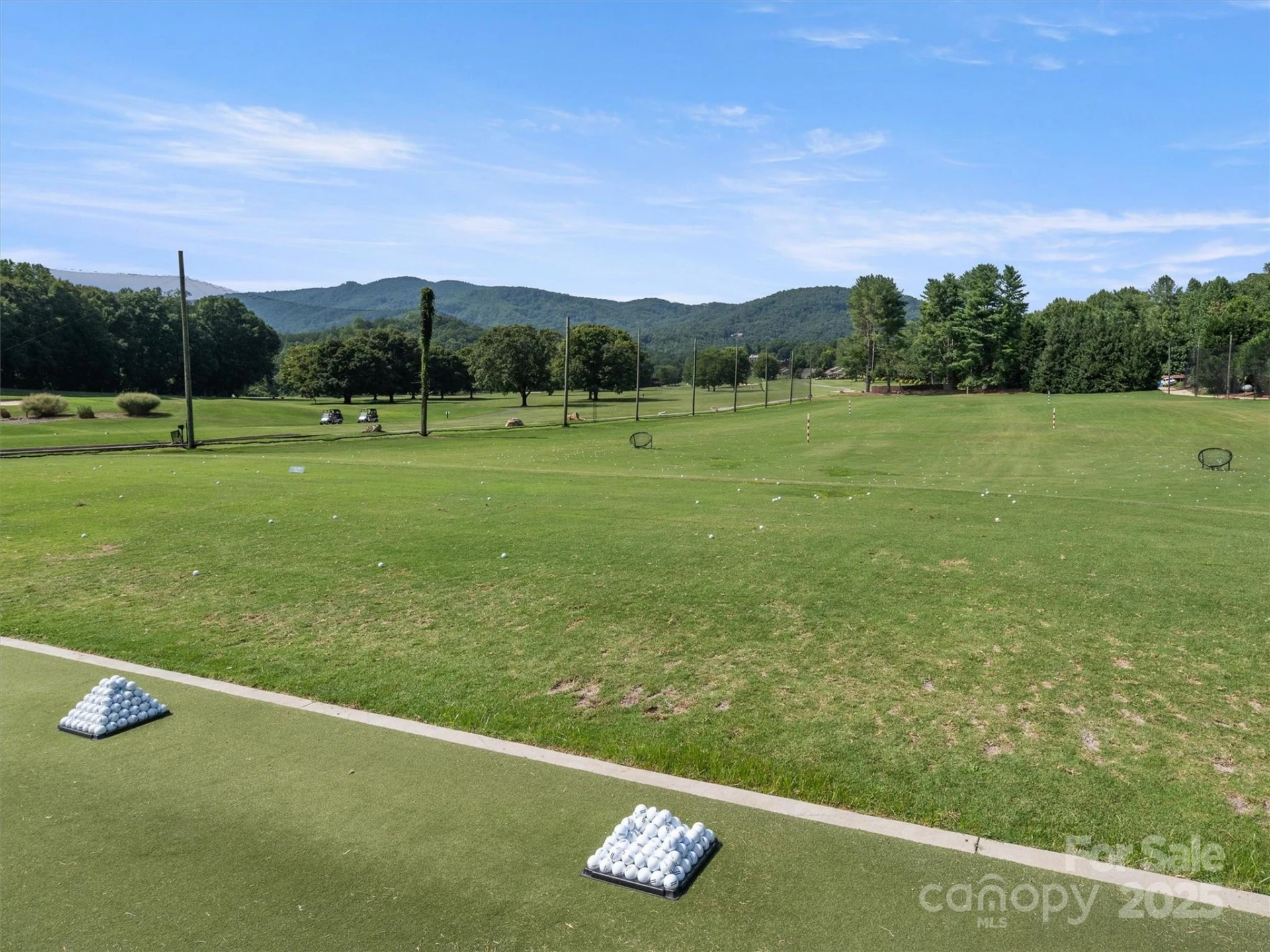 155 Quail Cove Road #1602 - Photo 43