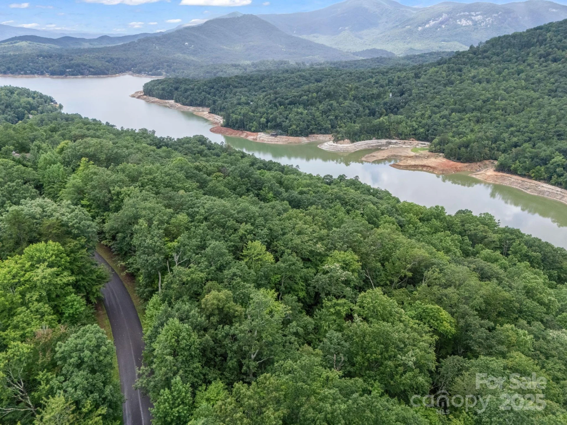 Lot 42 Hawks Nest Trail - Photo 13