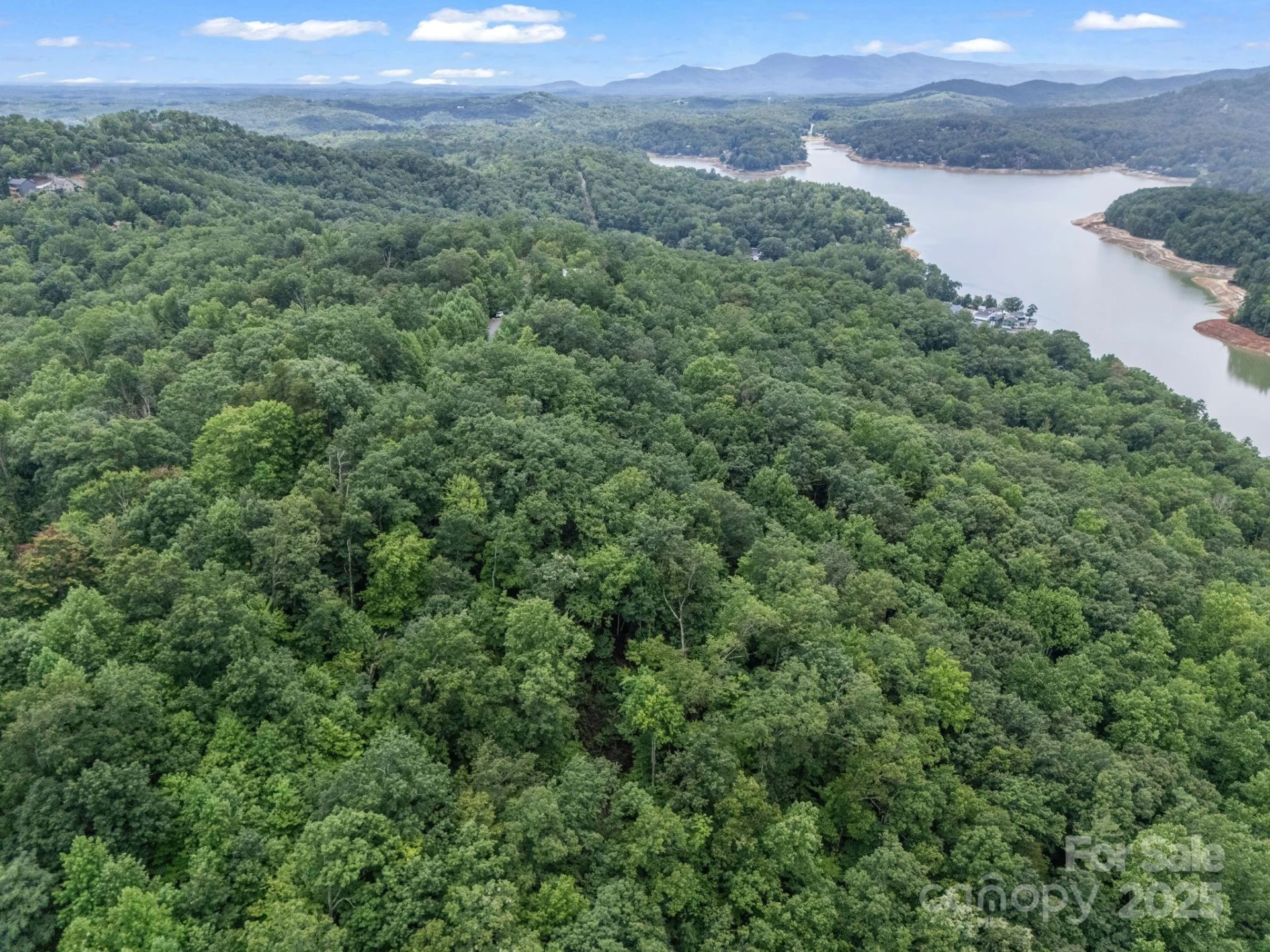 Lot 42 Hawks Nest Trail - Photo 14