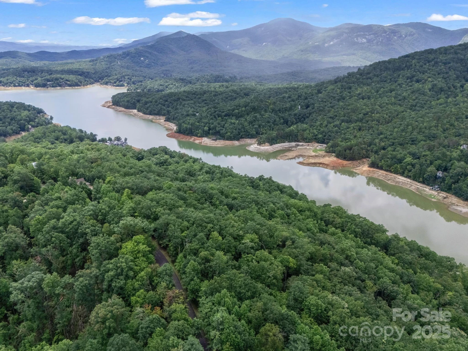 Lot 42 Hawks Nest Trail - Photo 9