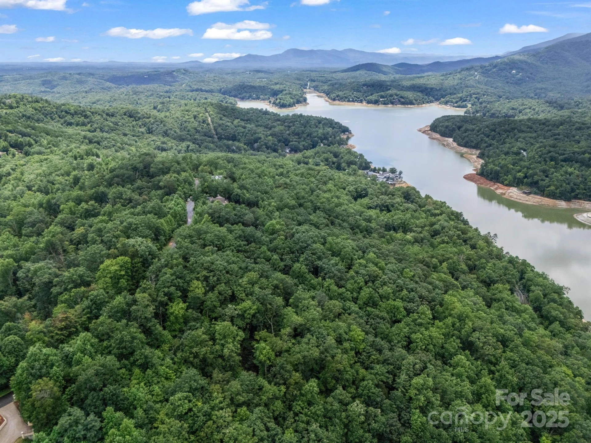 Lot 42 Hawks Nest Trail - Photo 10