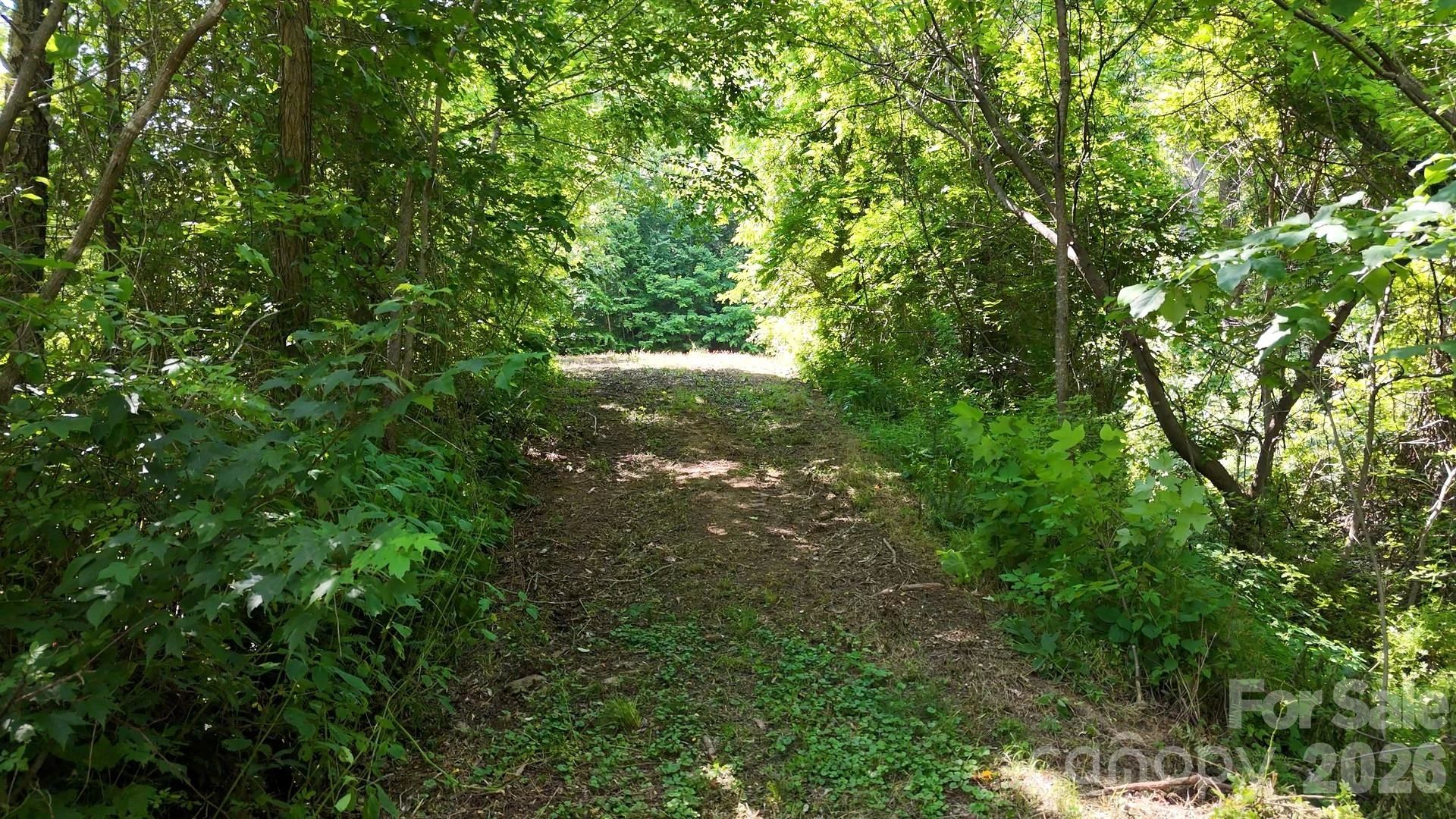 Lot 23 Asa Trail - Photo 4