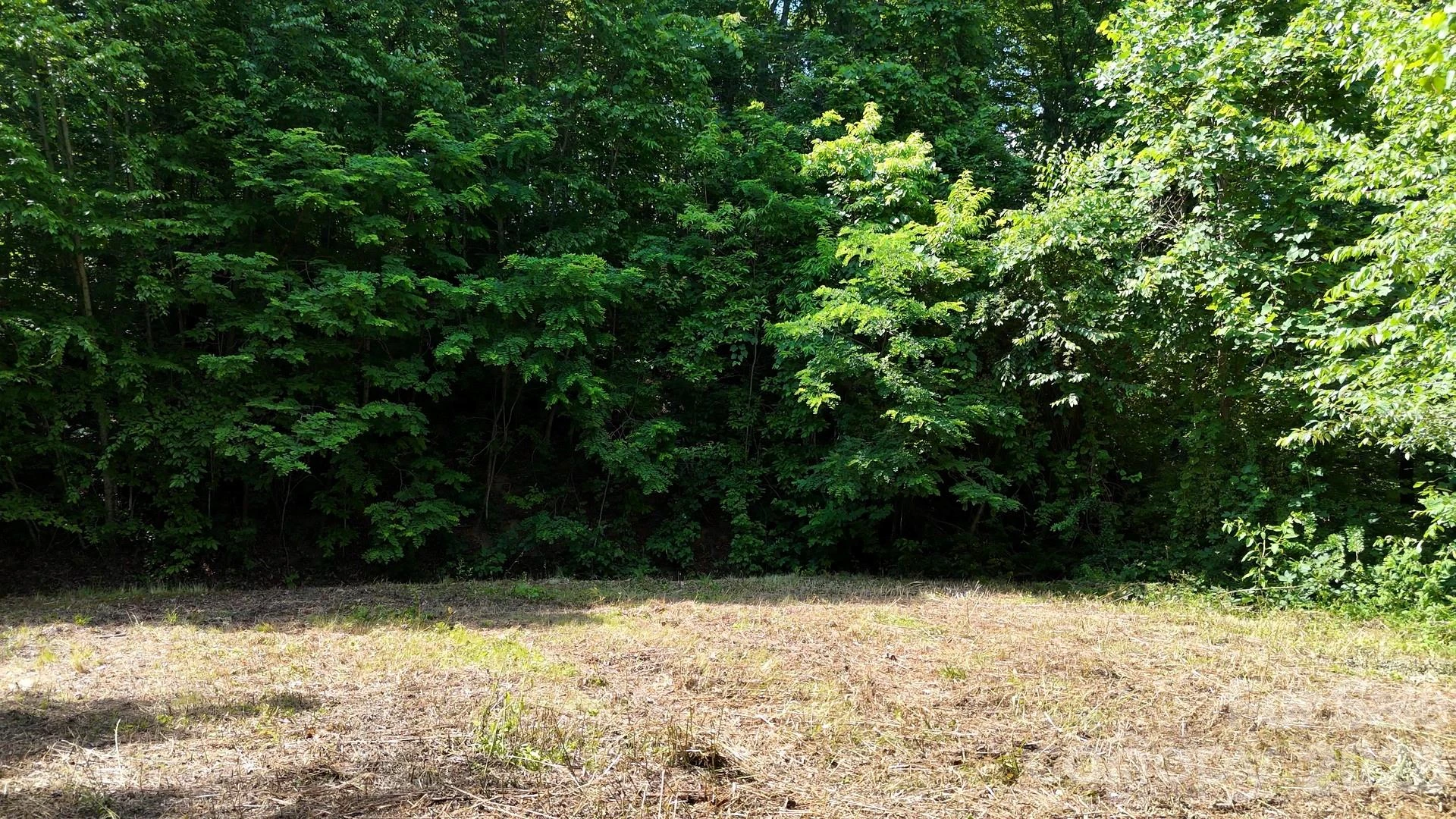 Lot 23 Asa Trail - Photo 7