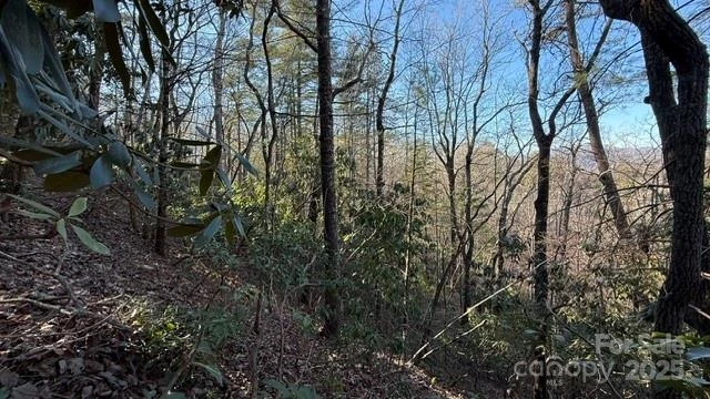 0 Bird Dog Boulevard - Photo 13