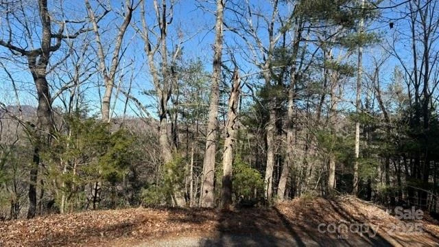 0 Bird Dog Boulevard - Photo 21