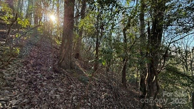 0 Bird Dog Boulevard - Photo 9