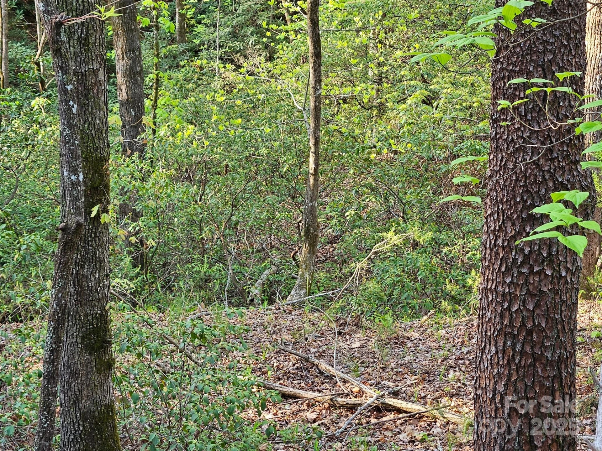 0 Huntington Road #54 - Photo 4