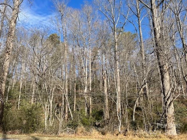 Off US 70 Highway W Highway - Photo 3