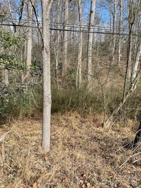 Off US 70 Highway W Highway - Photo 5