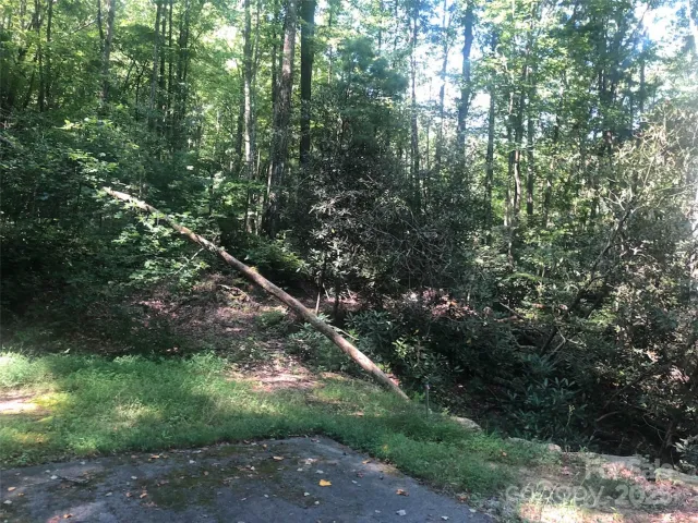 TBD Peppervine Circle, Rosman, NC, 28772